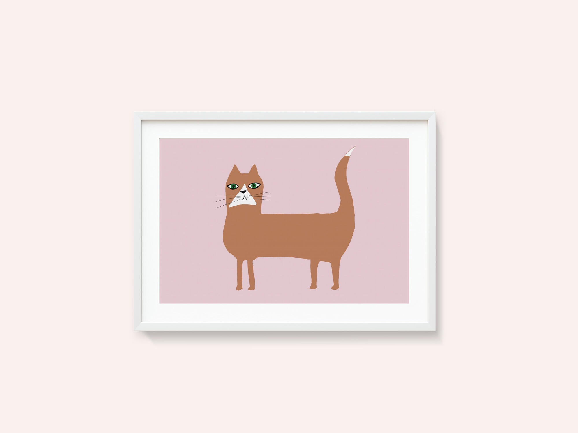 Cat ginger orange
