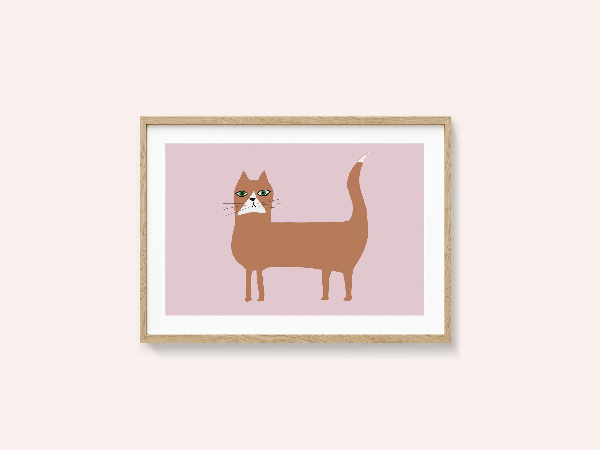 Cat ginger orange