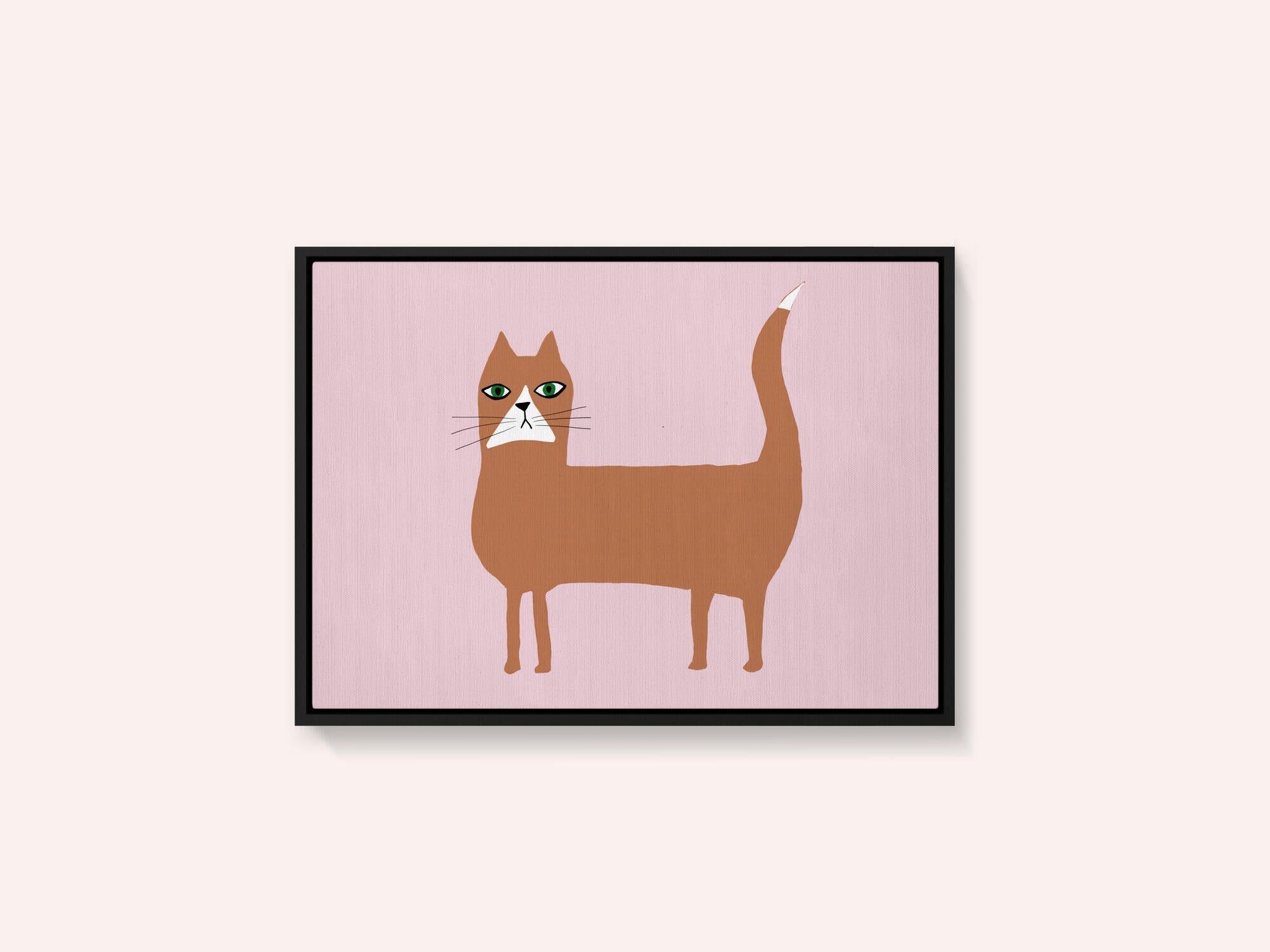 Cat ginger orange