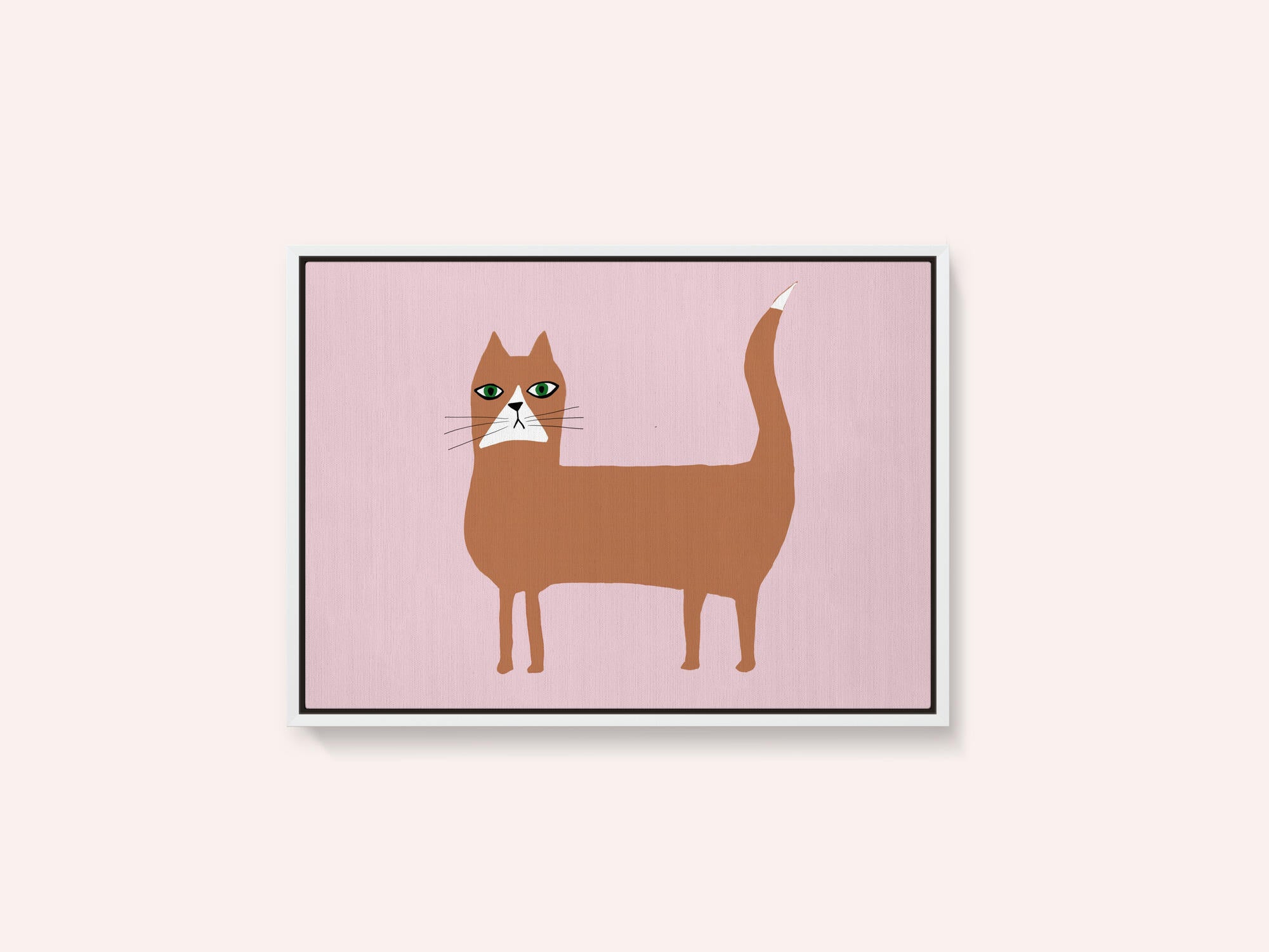 Cat ginger orange