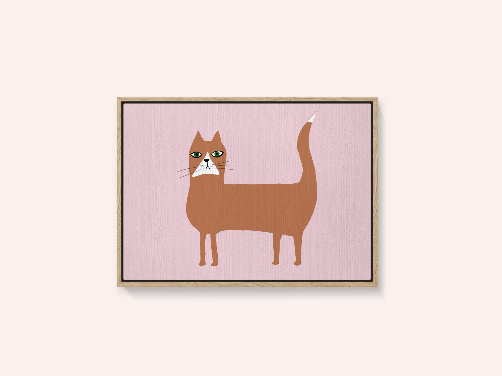 Cat ginger orange