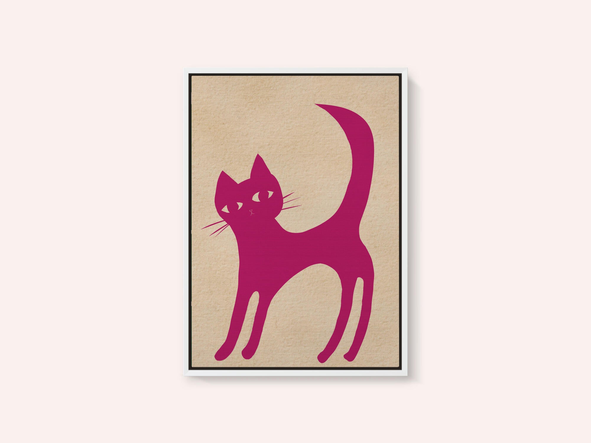 Pink cat