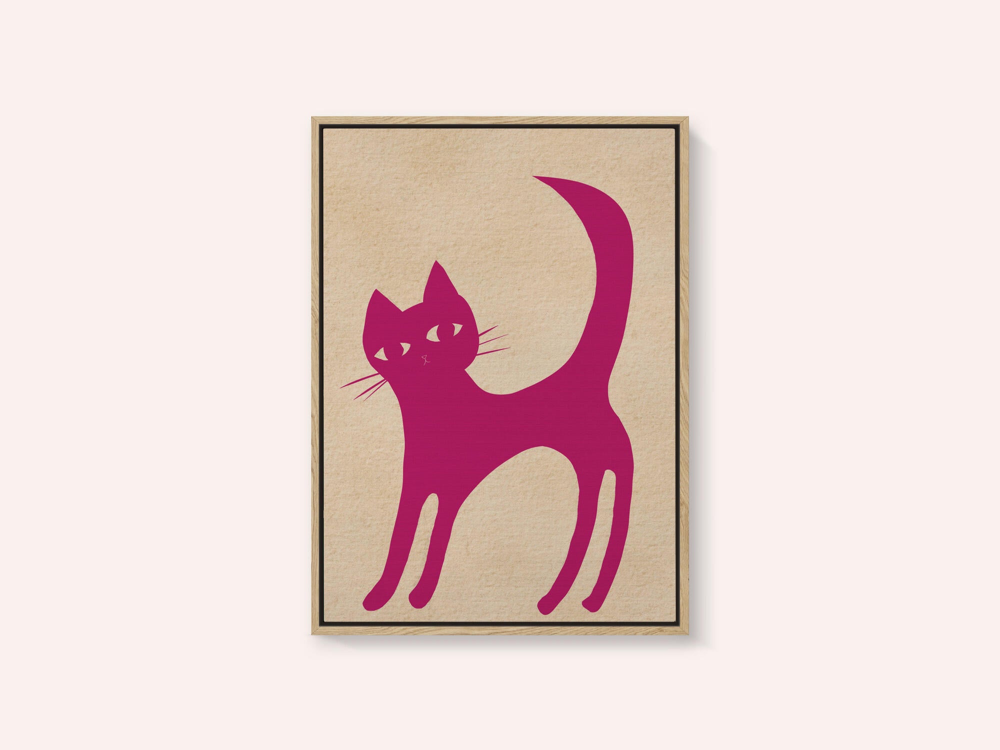Pink cat