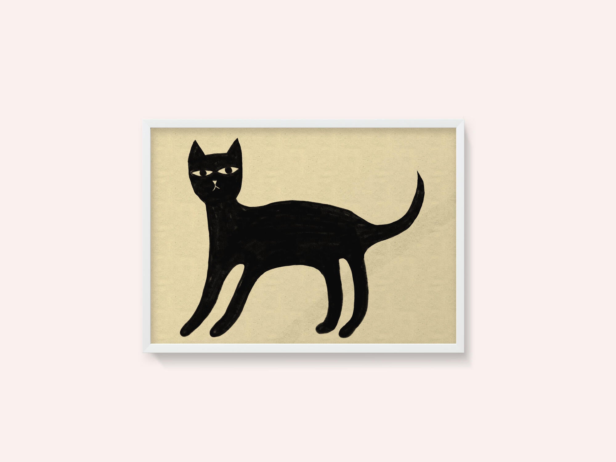 Black cat