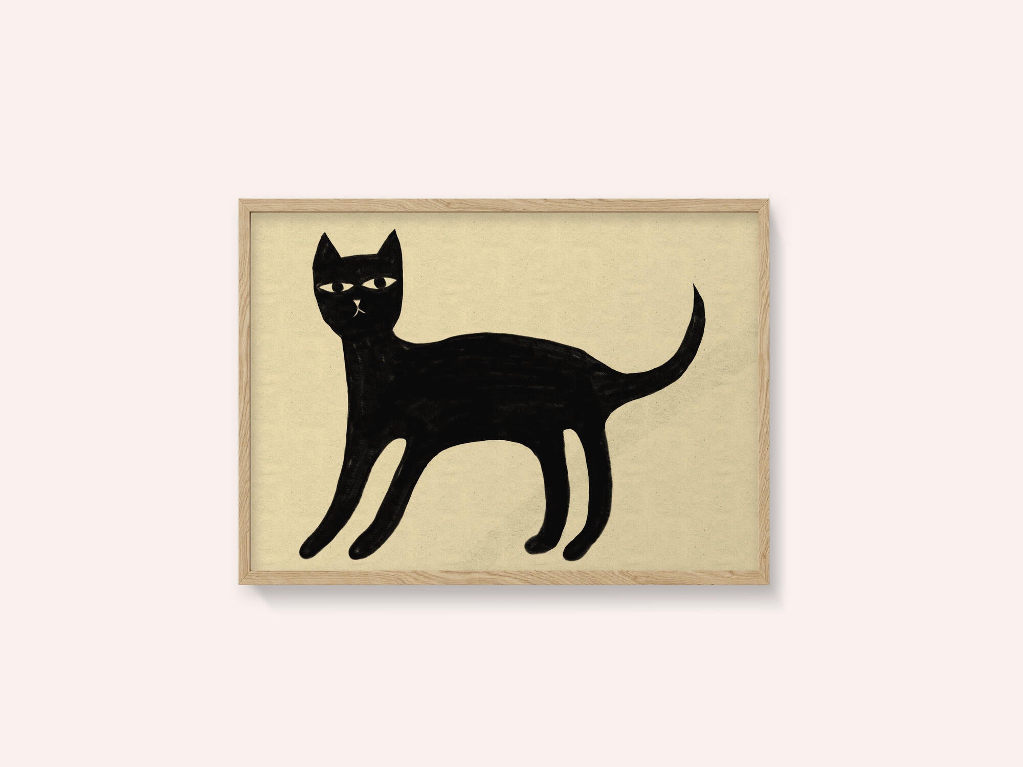 Black cat