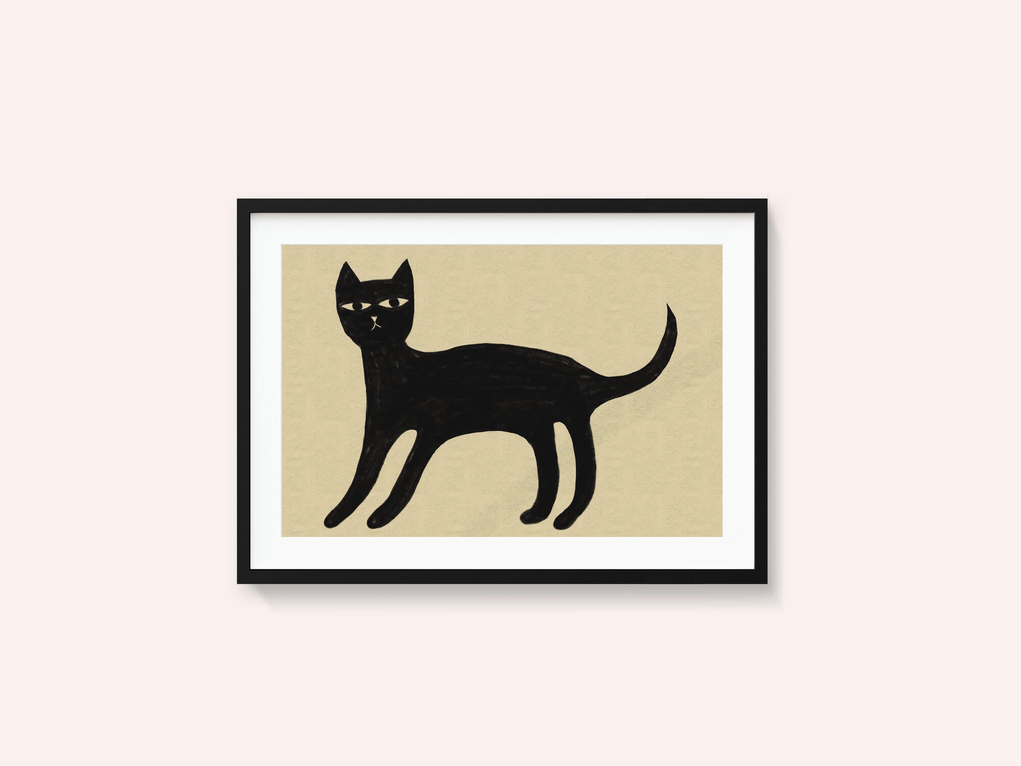 Black cat