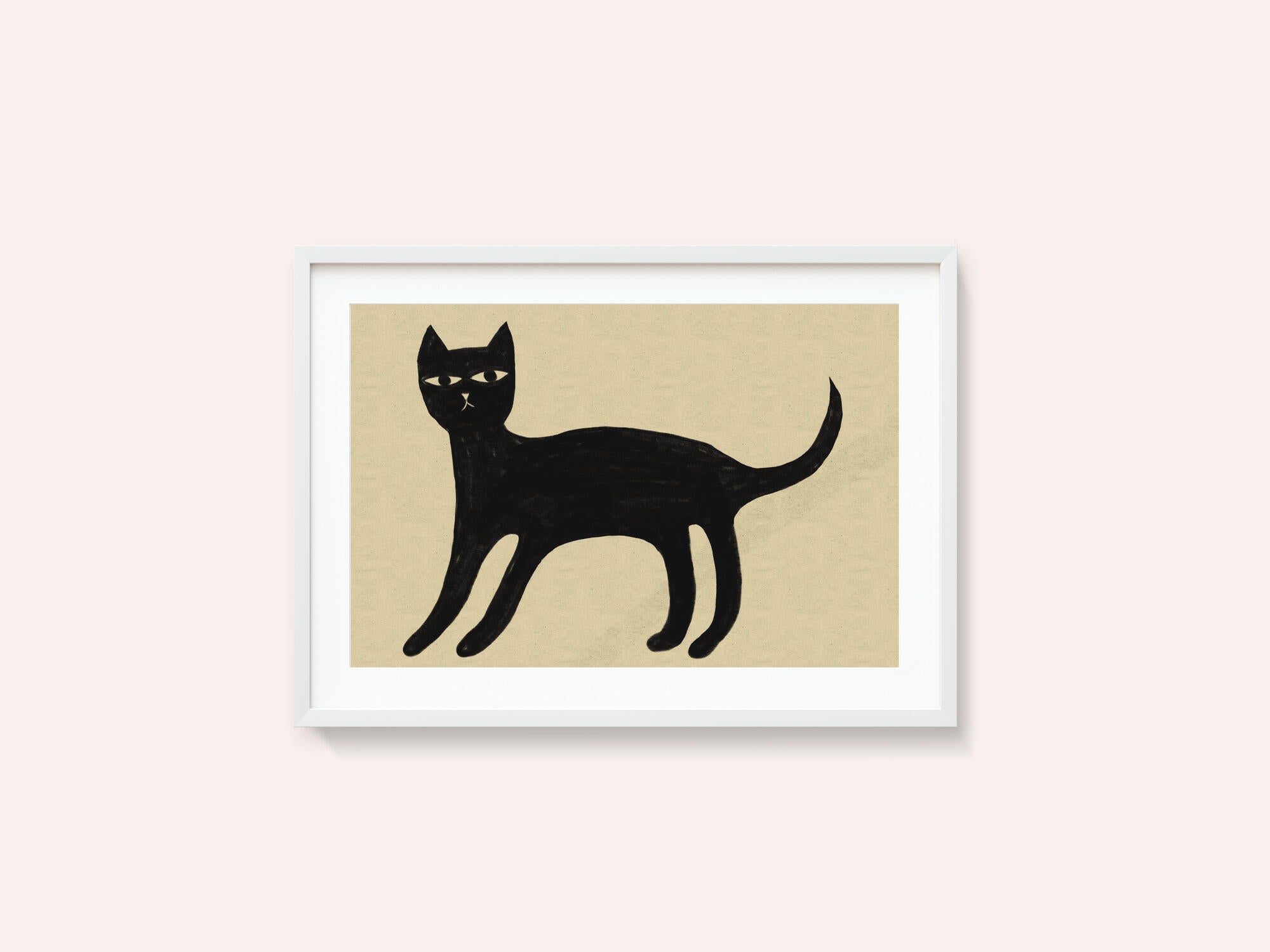 Black cat