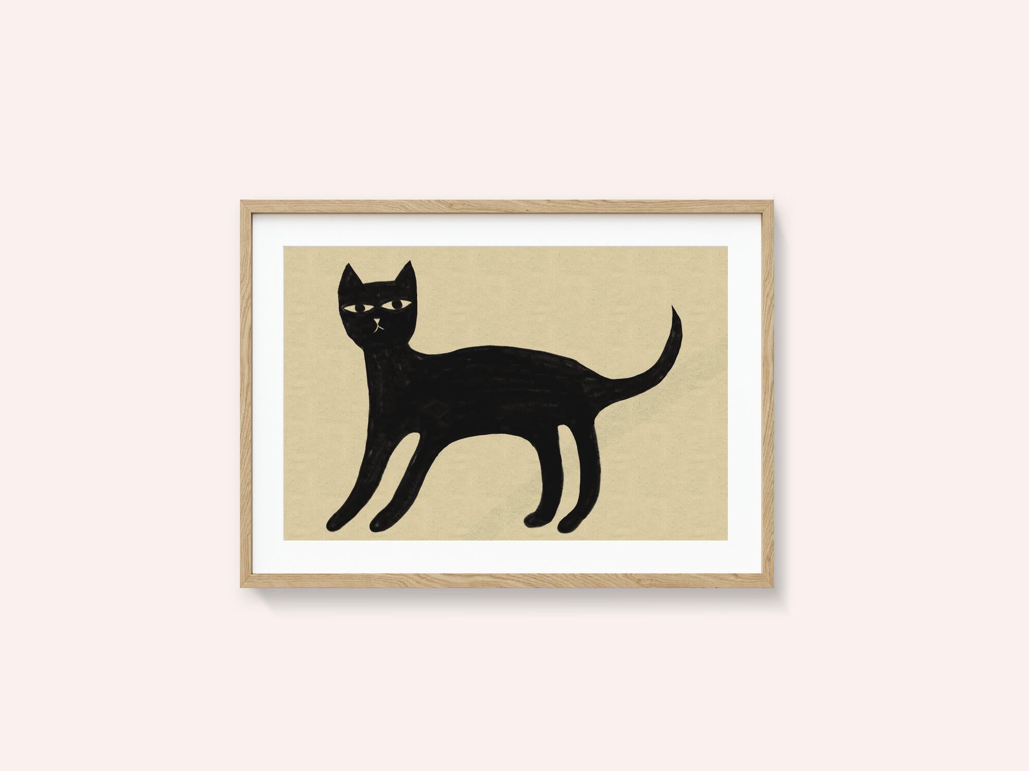 Black cat