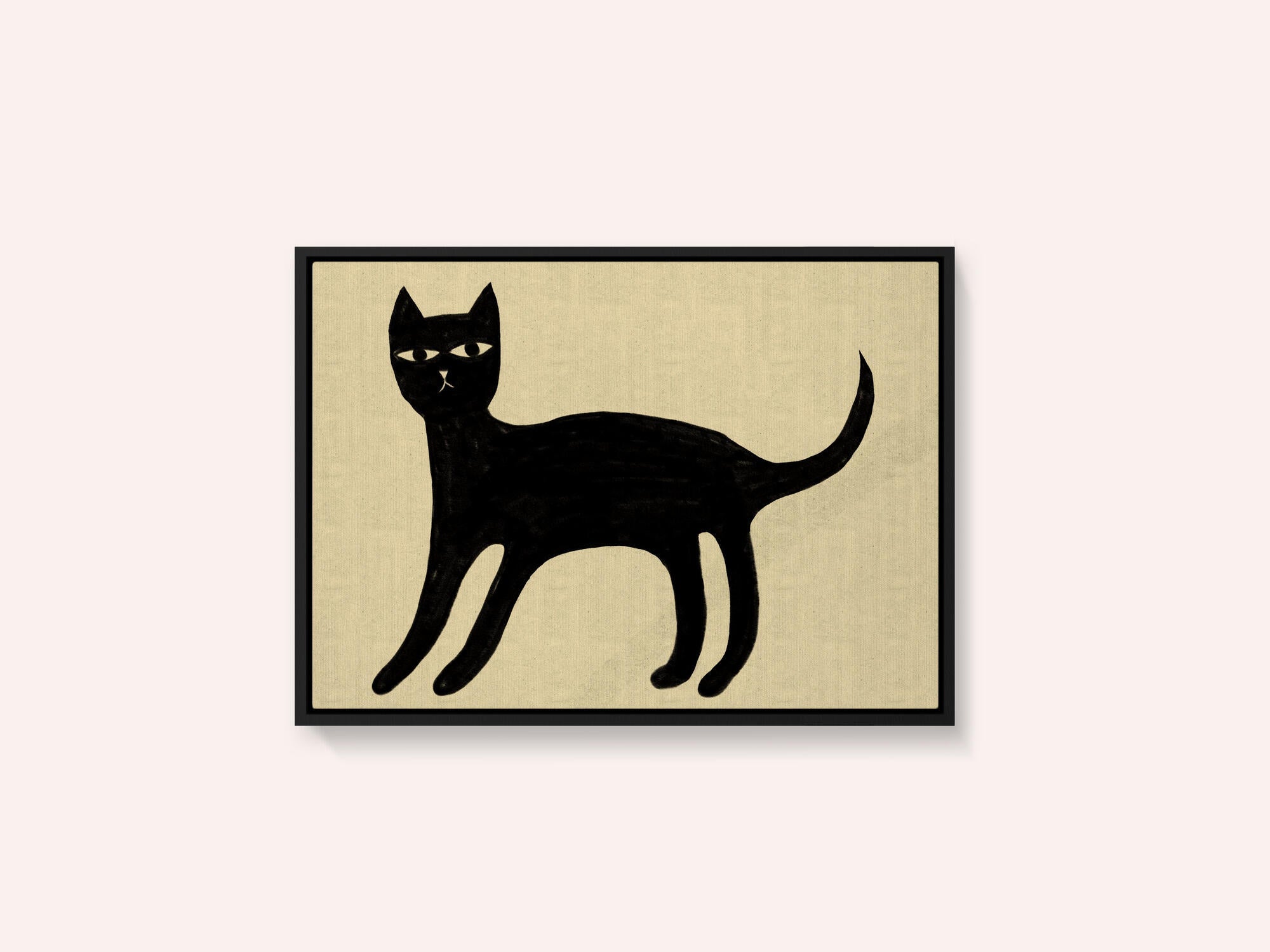 Black cat