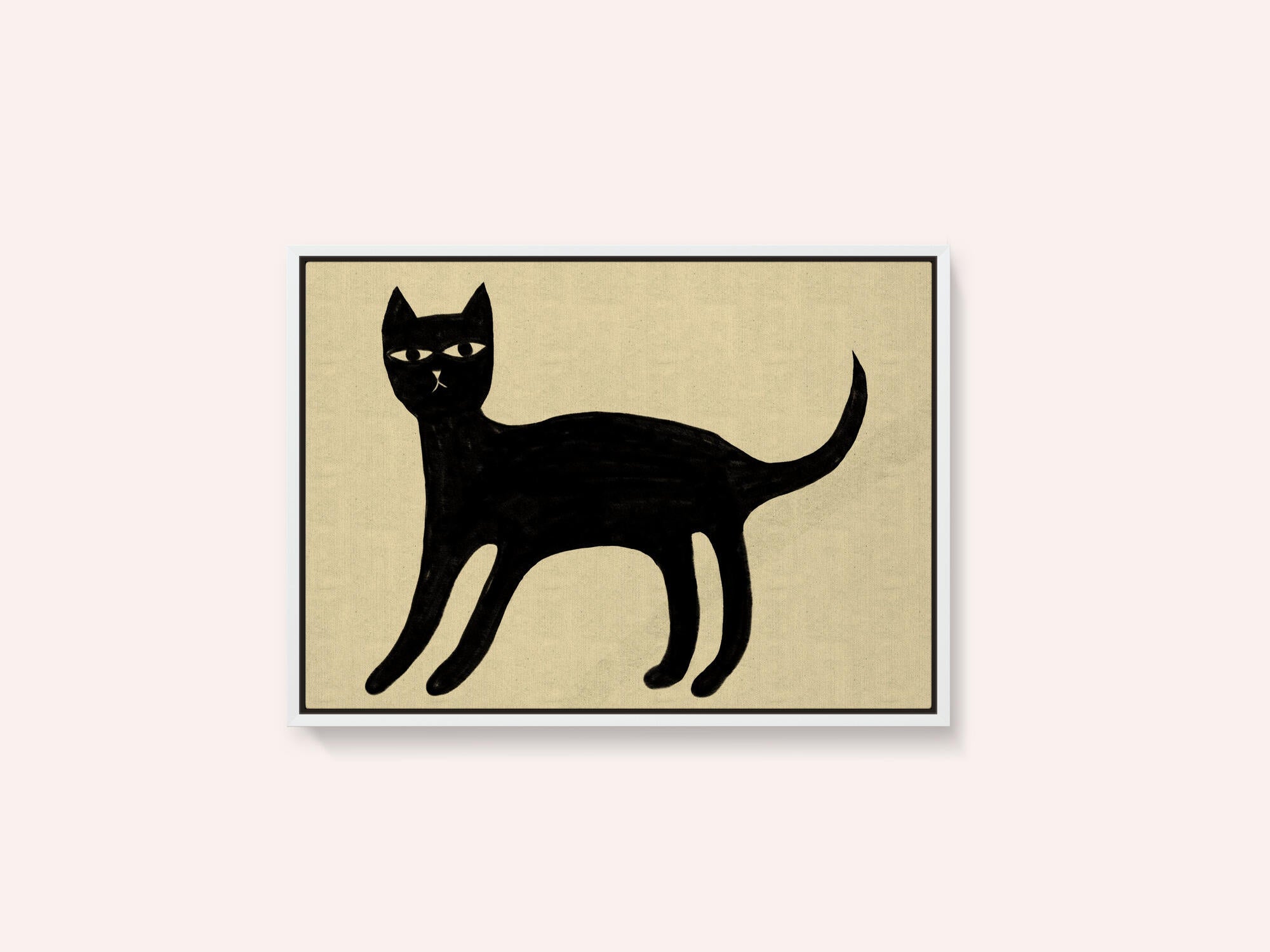 Black cat