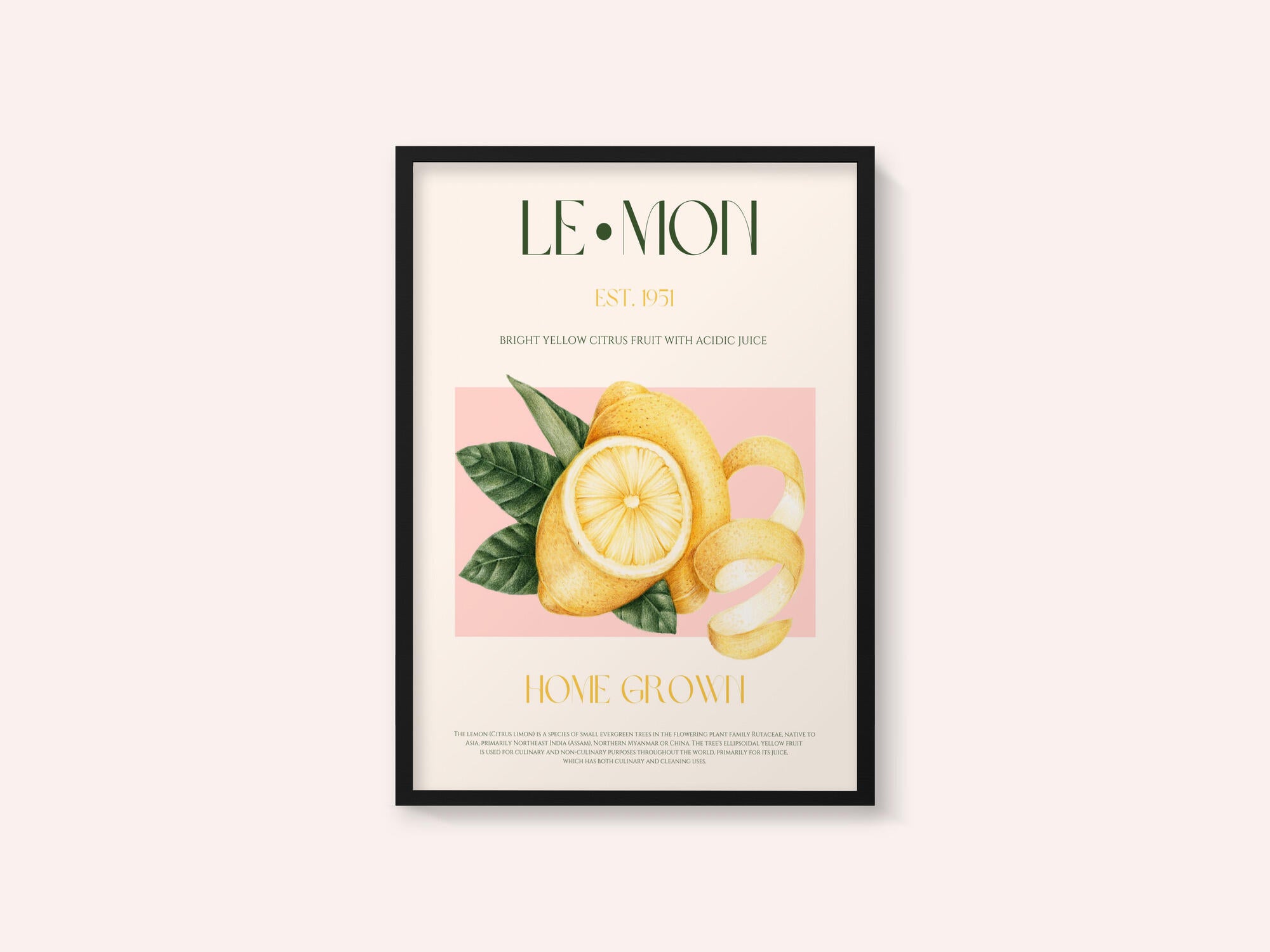 Vintage Style Sliced Lemon With Leaves