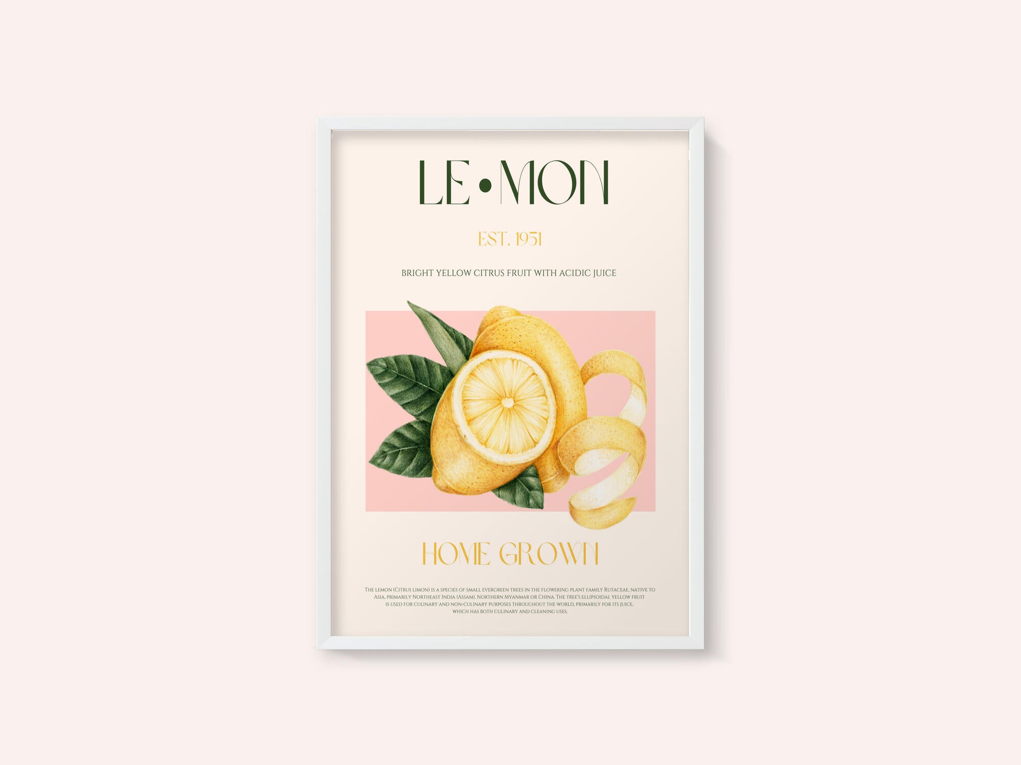 Vintage Style Sliced Lemon With Leaves