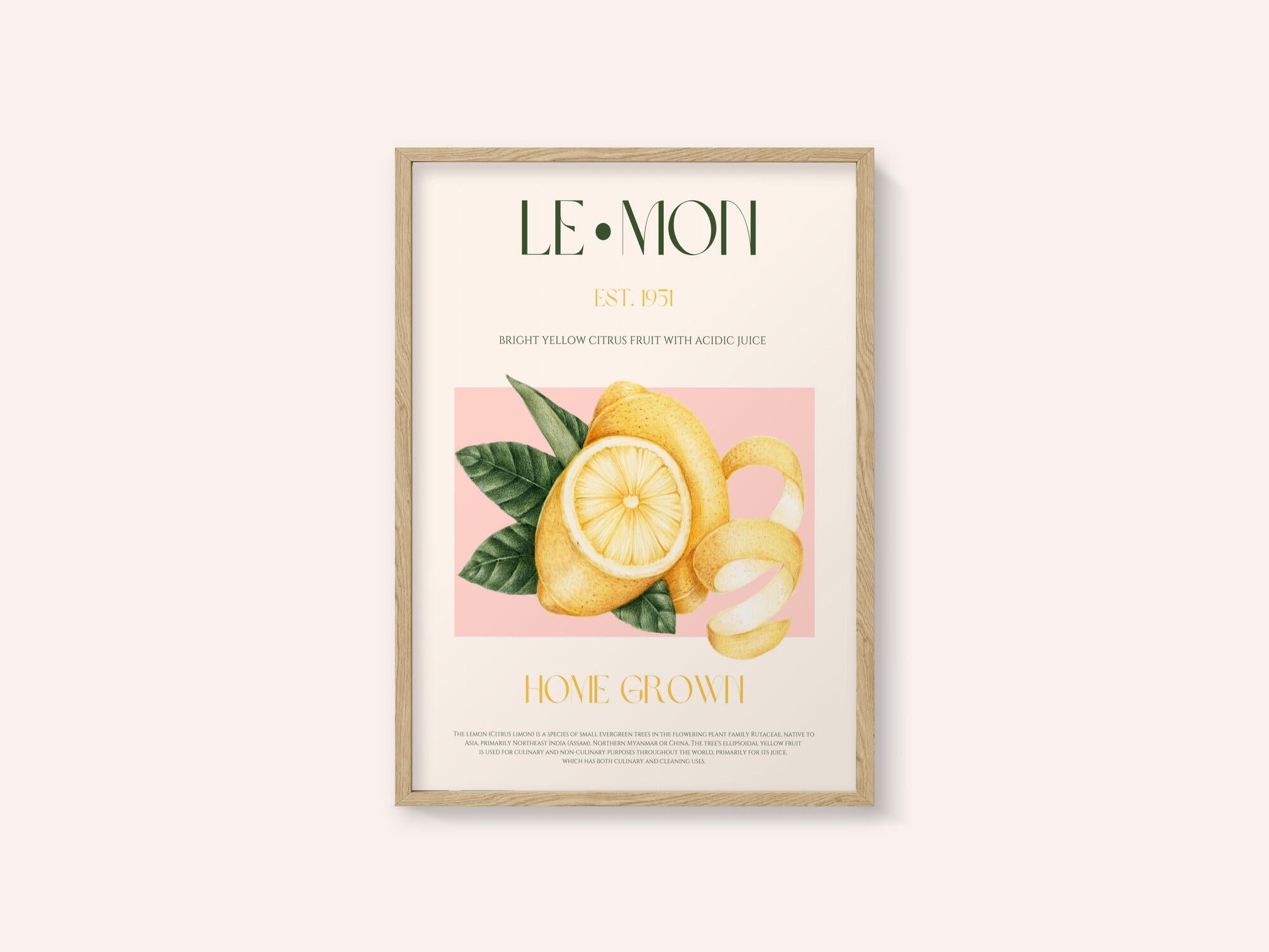 Vintage Style Sliced Lemon With Leaves