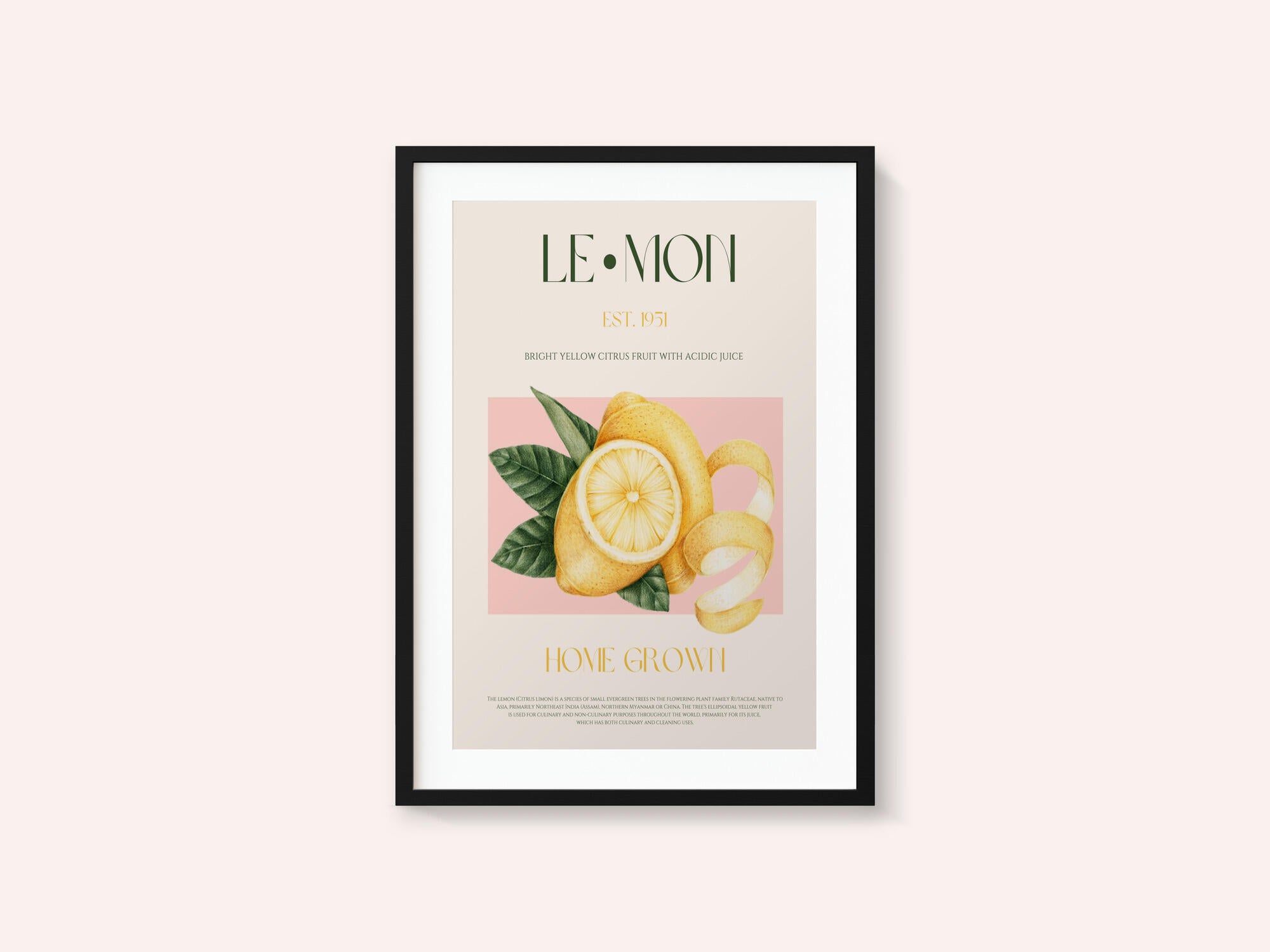 Vintage Style Sliced Lemon With Leaves