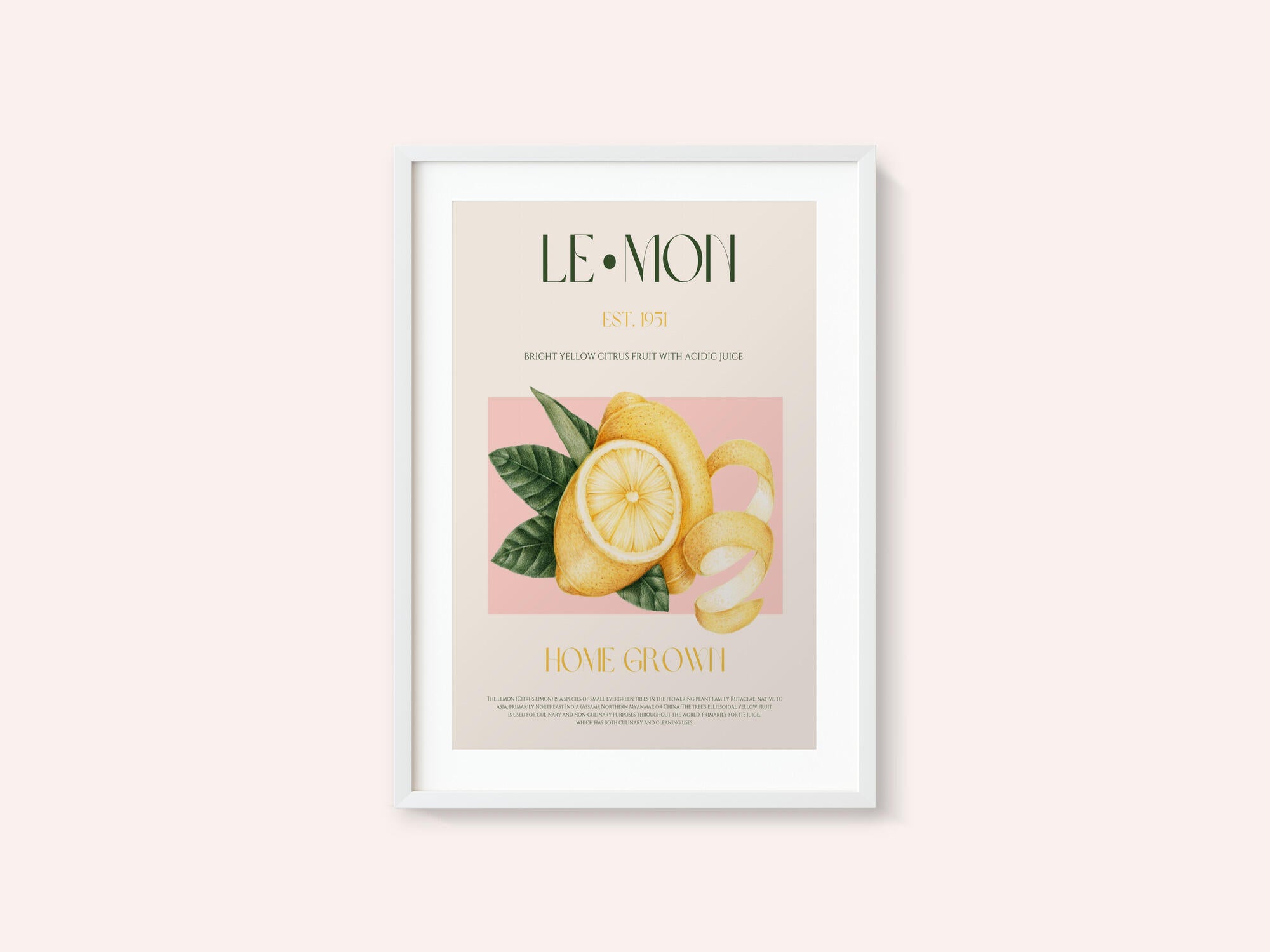 Vintage Style Sliced Lemon With Leaves
