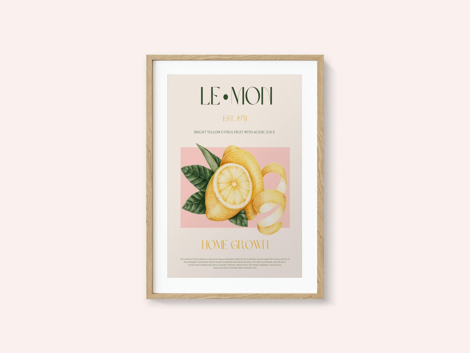 Vintage Style Sliced Lemon With Leaves