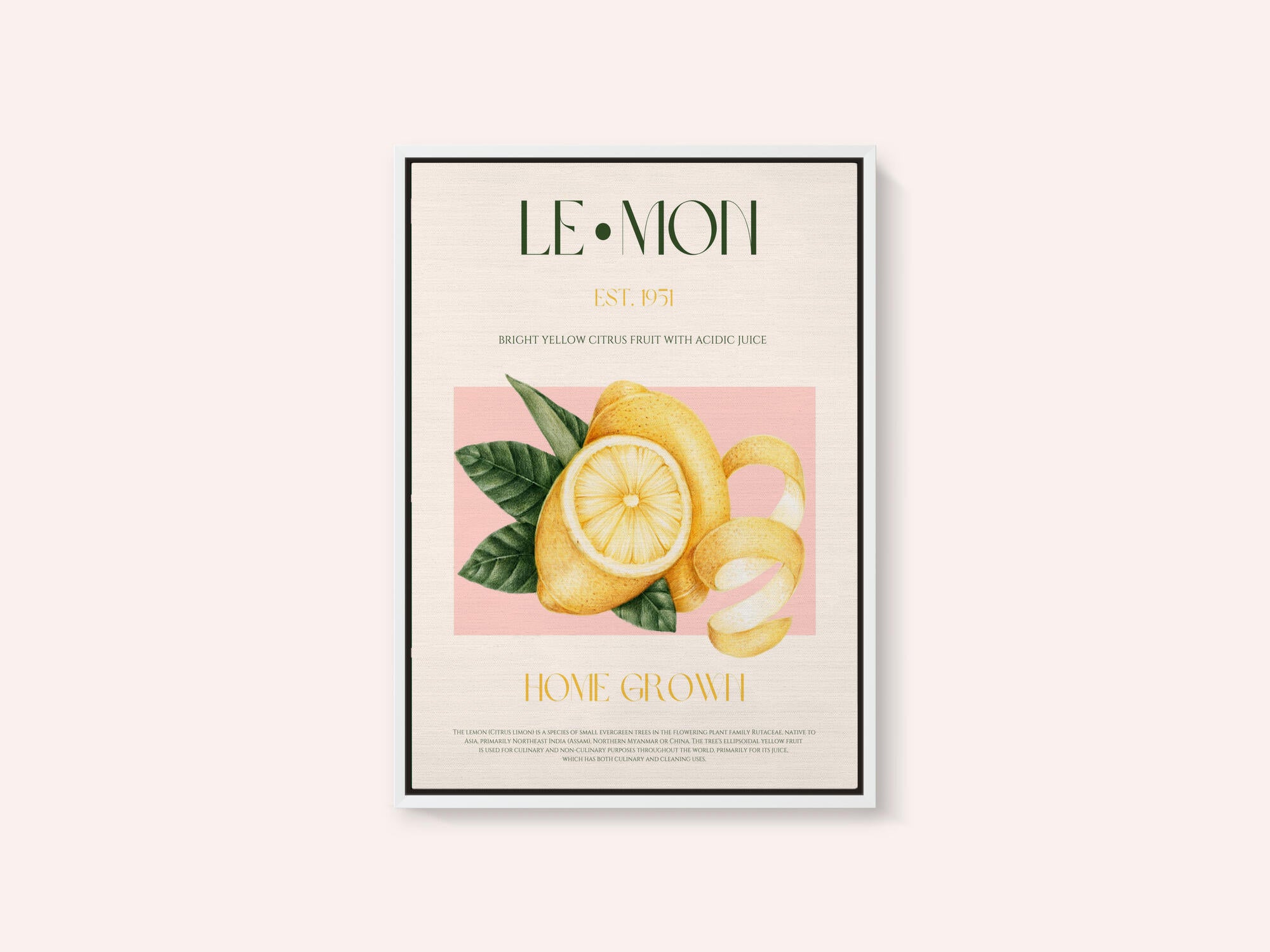 Vintage Style Sliced Lemon With Leaves