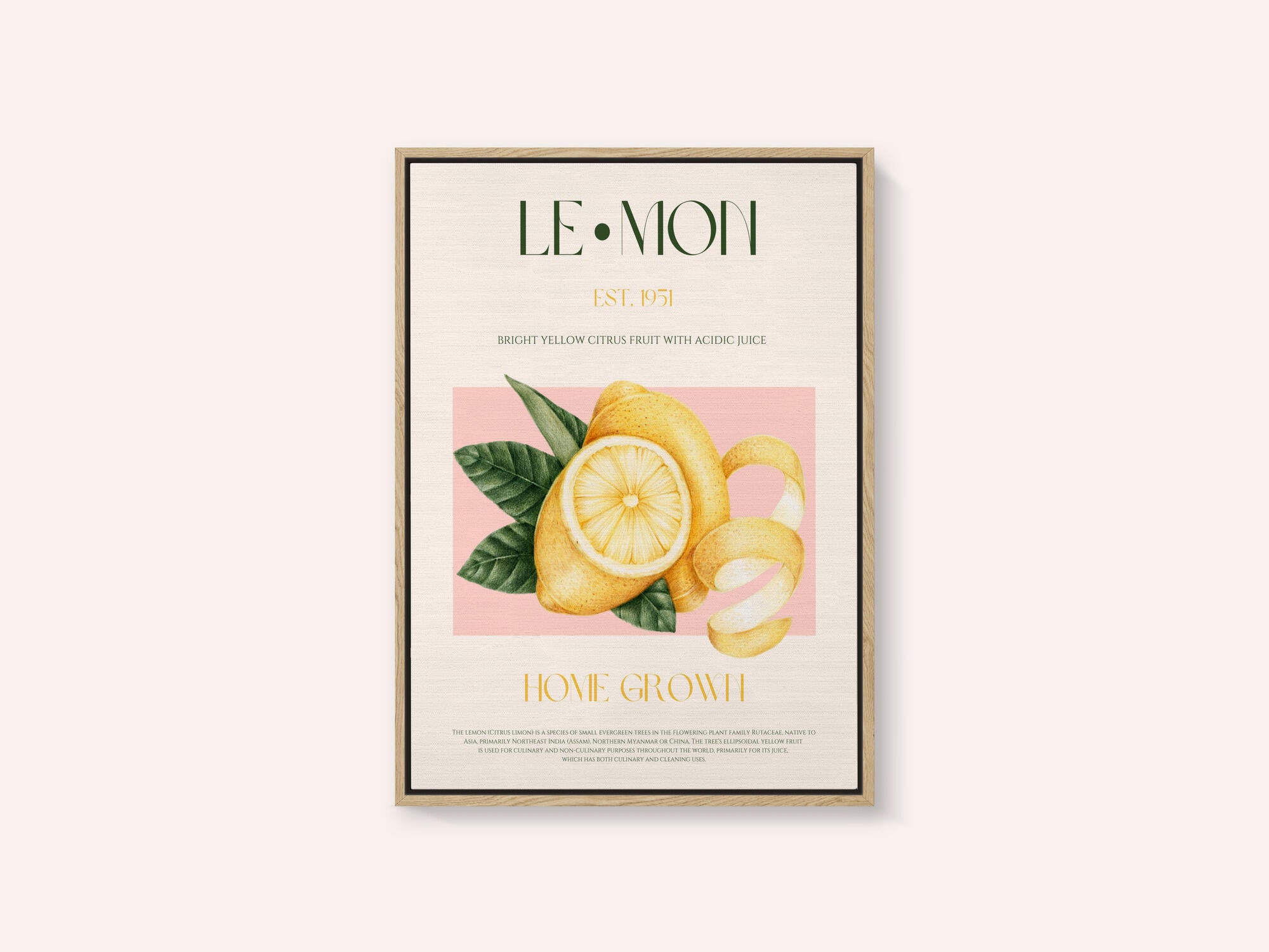 Vintage Style Sliced Lemon With Leaves
