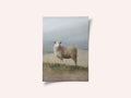Sheep Study