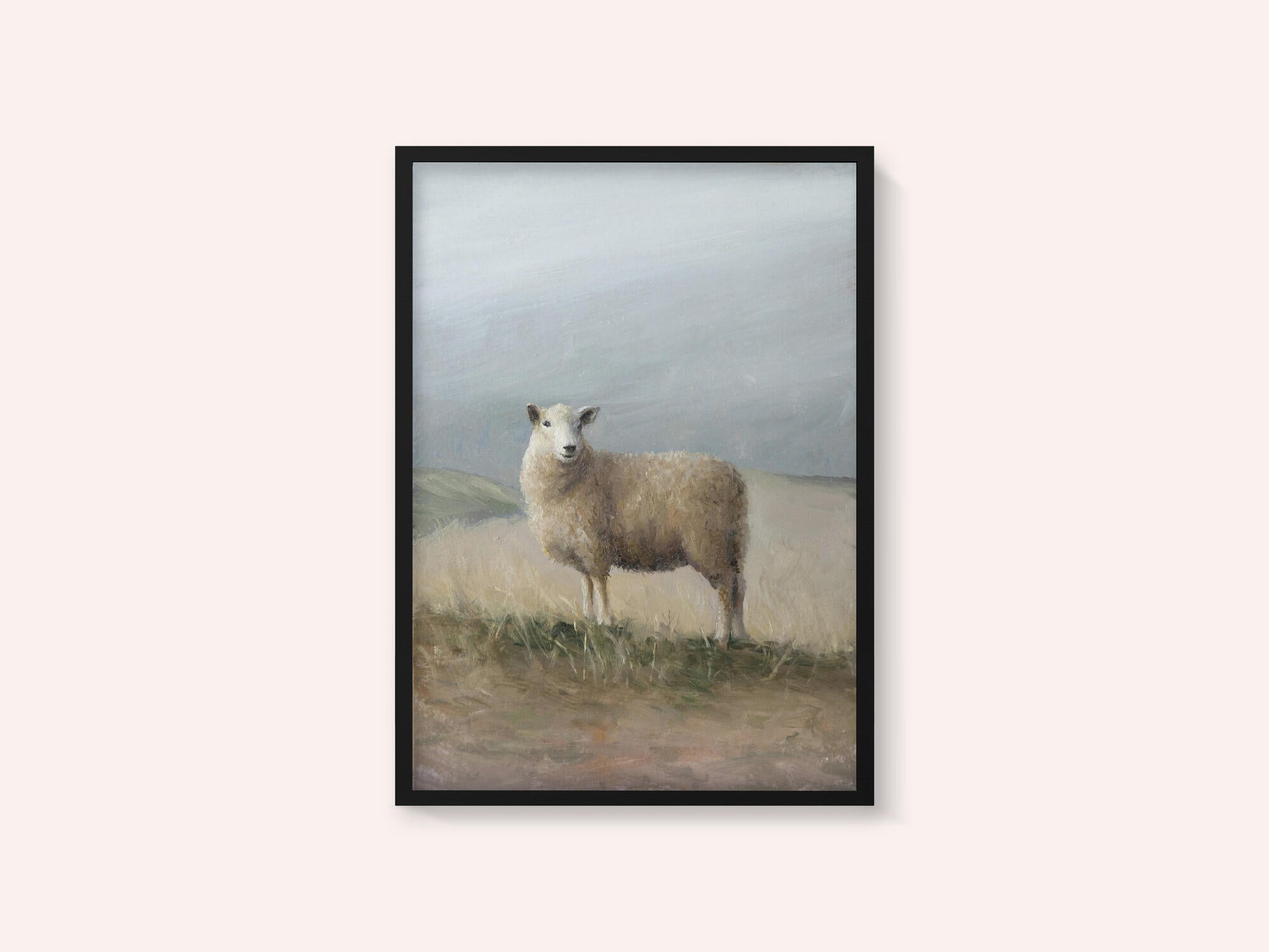 Sheep Study