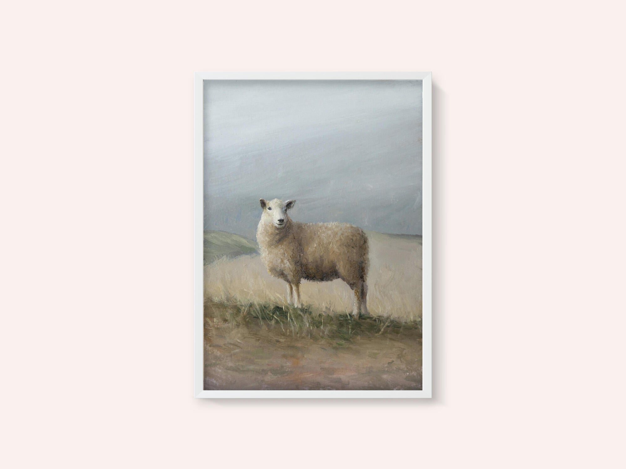 Sheep Study