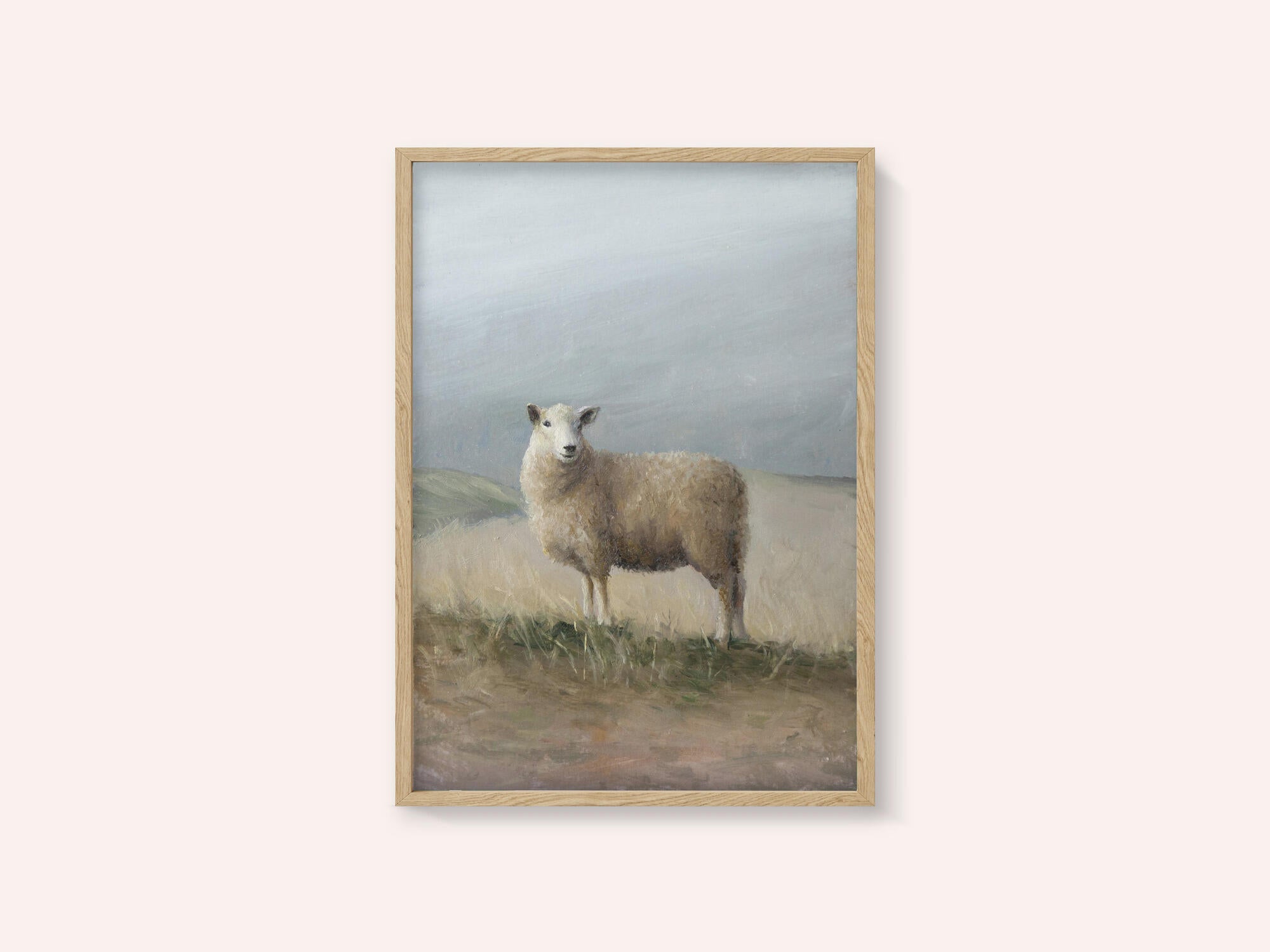 Sheep Study