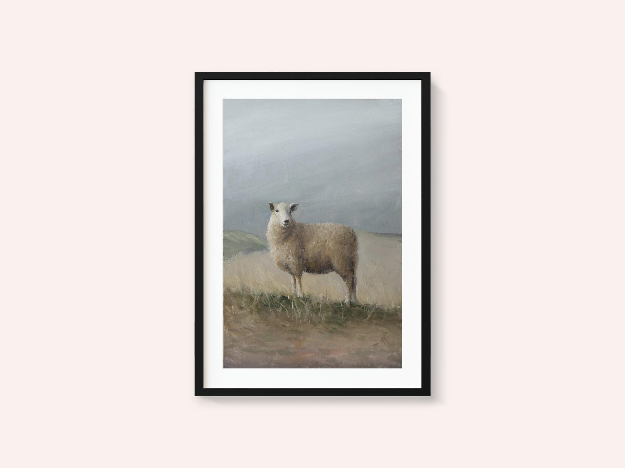 Sheep Study