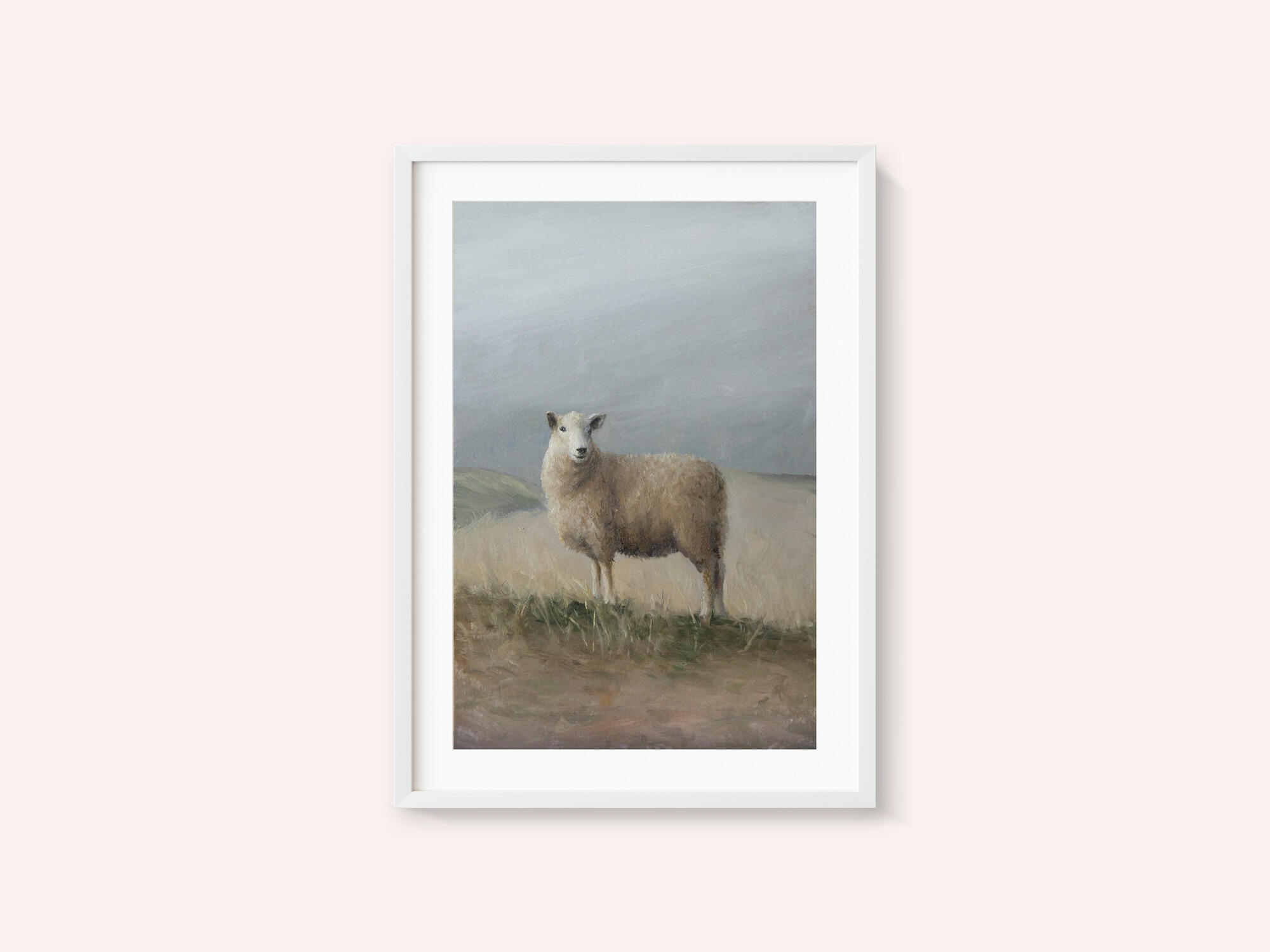 Sheep Study