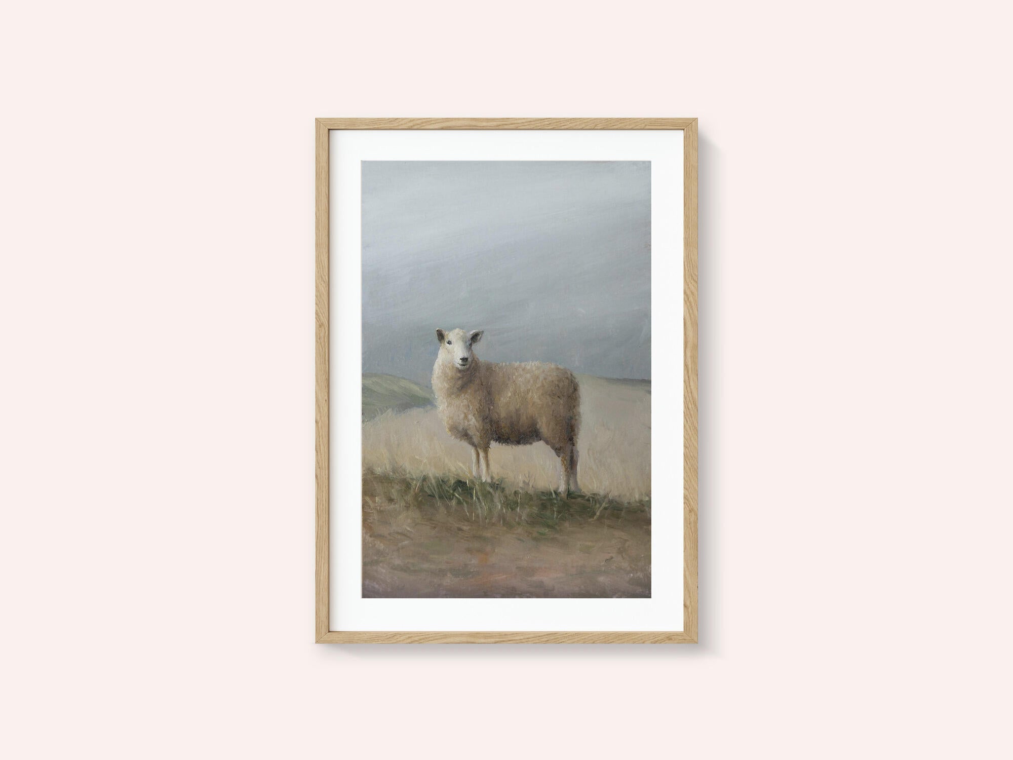 Sheep Study