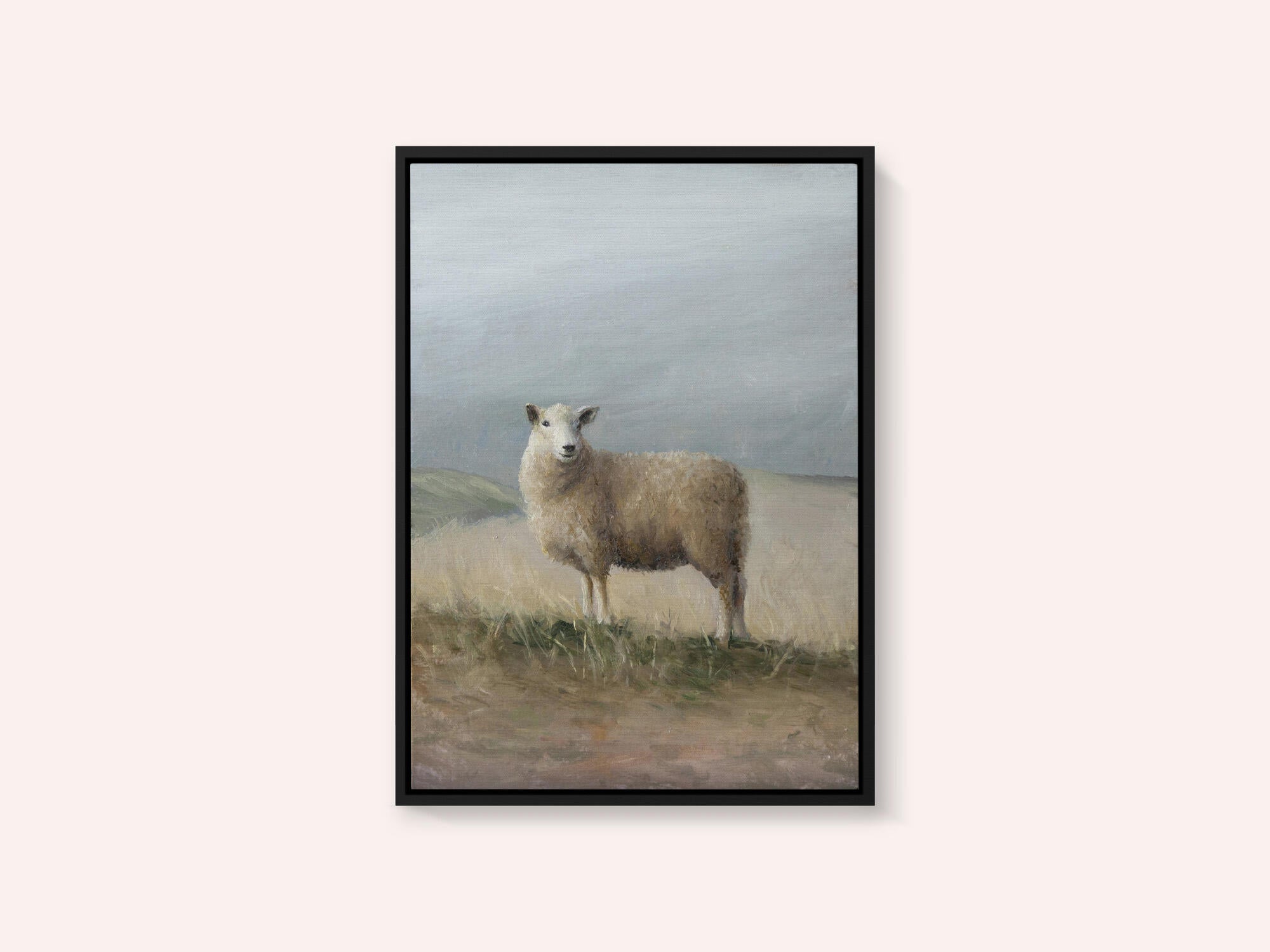 Sheep Study