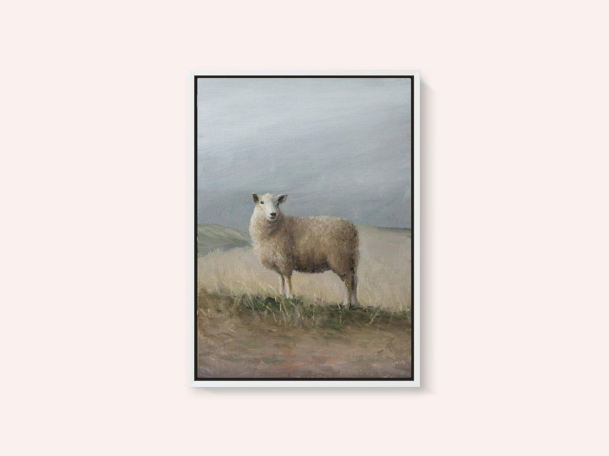 Sheep Study