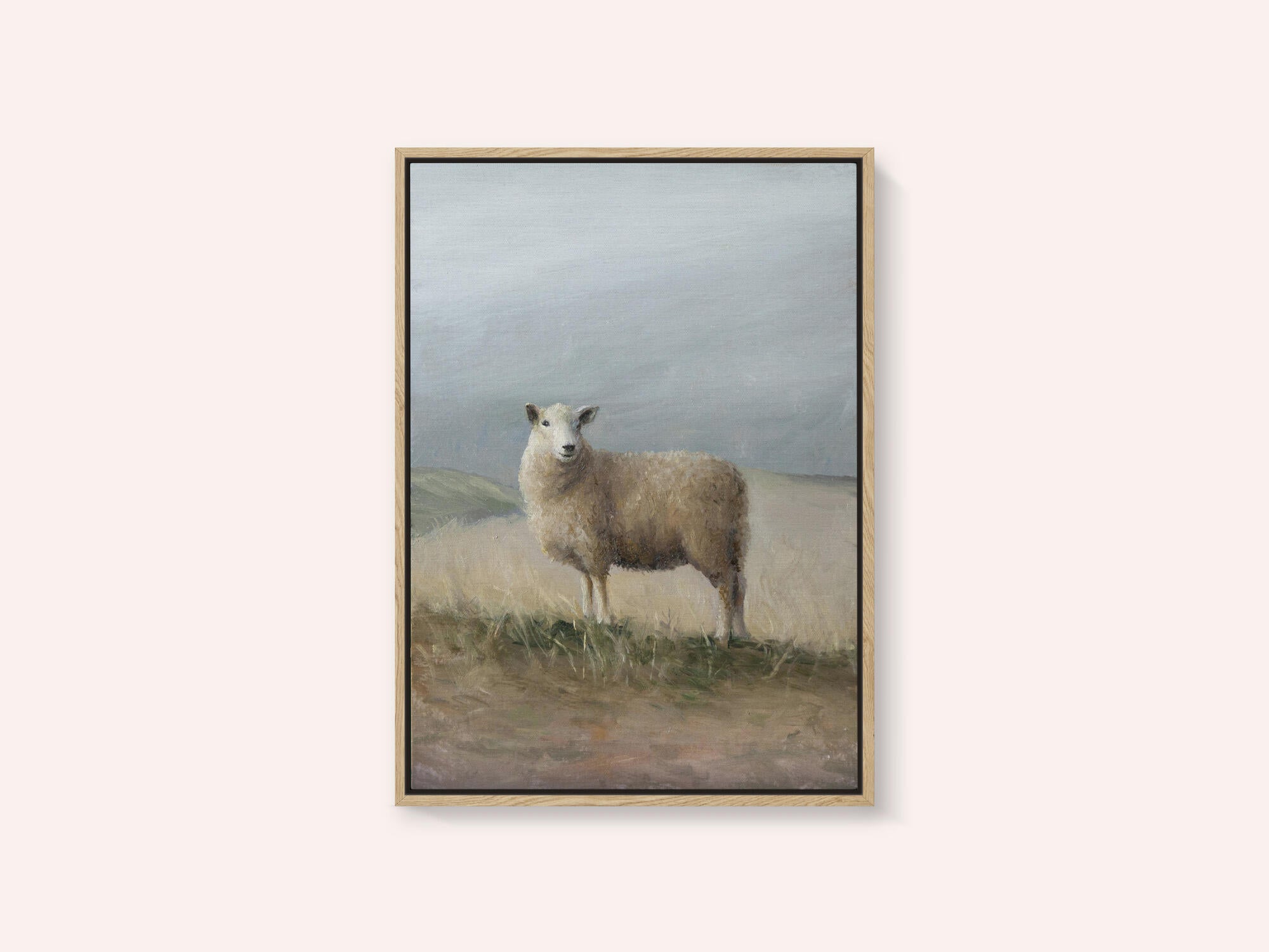Sheep Study
