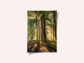 Golden Forest Path