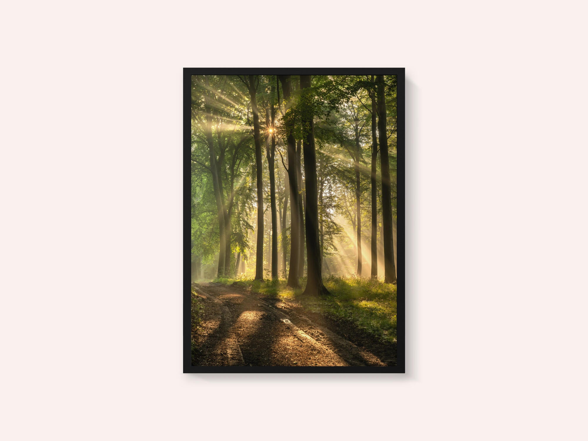 Golden Forest Path