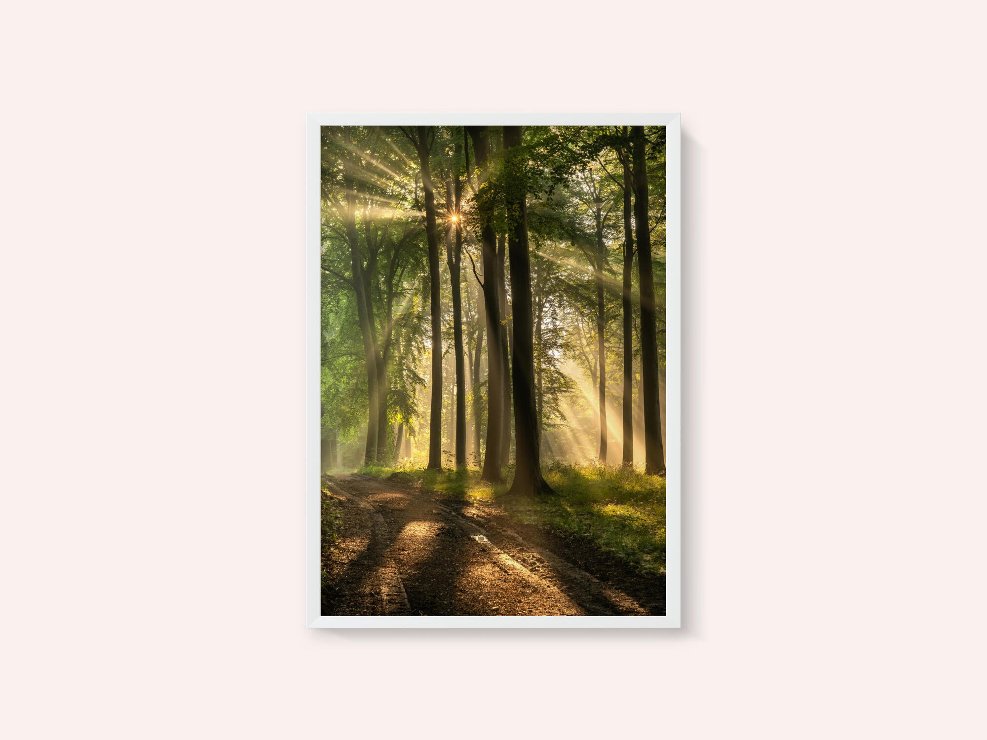 Golden Forest Path
