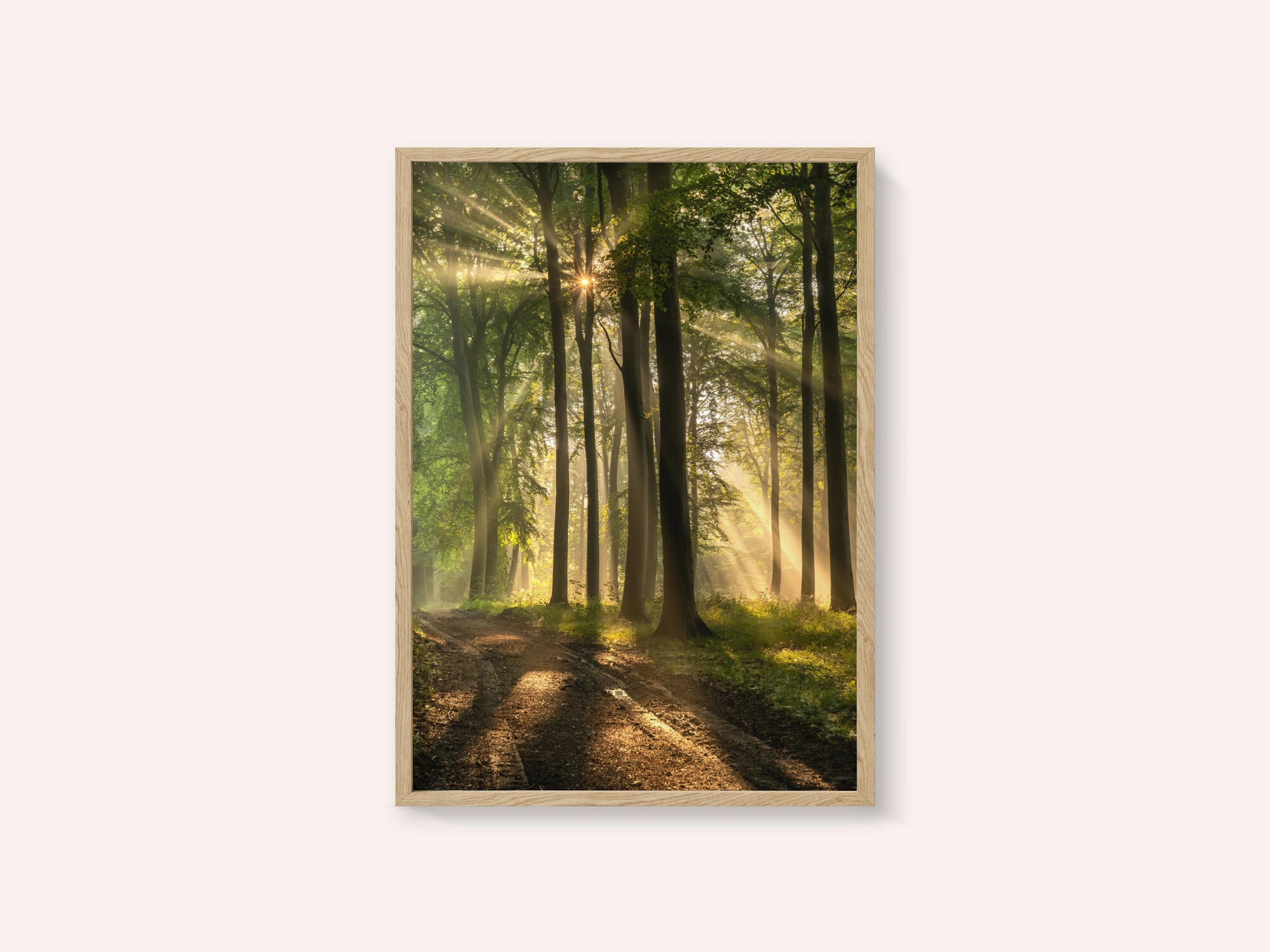 Golden Forest Path