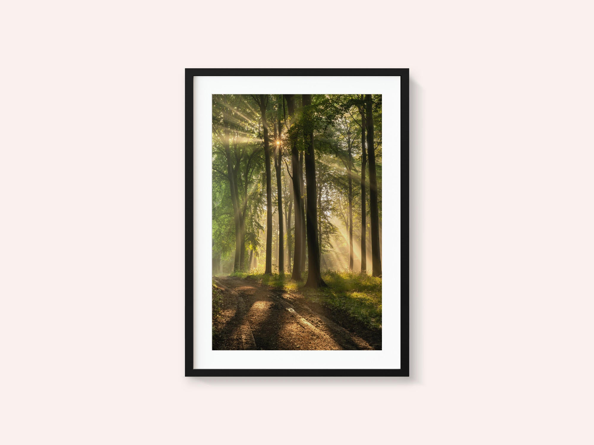 Golden Forest Path