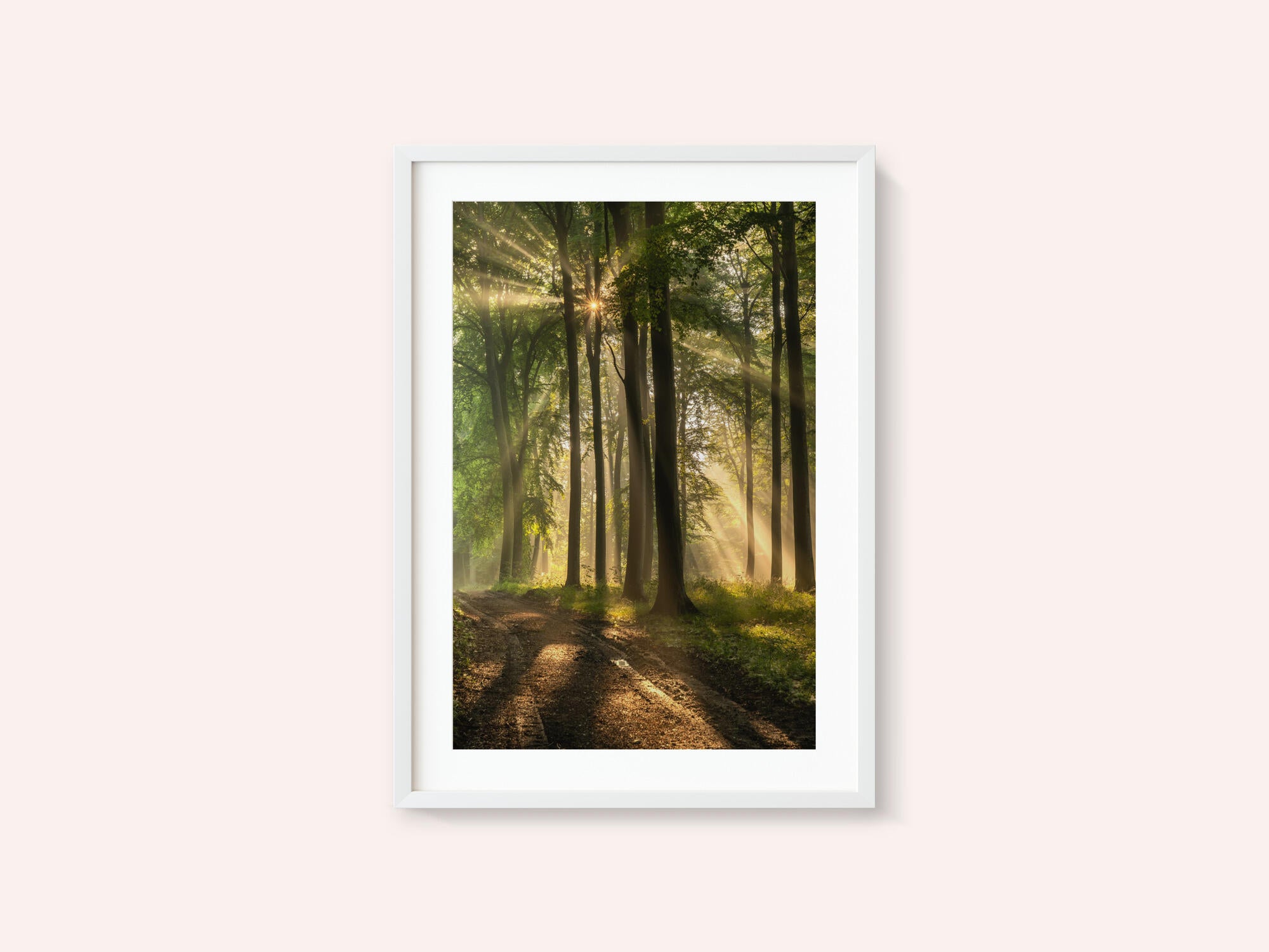 Golden Forest Path