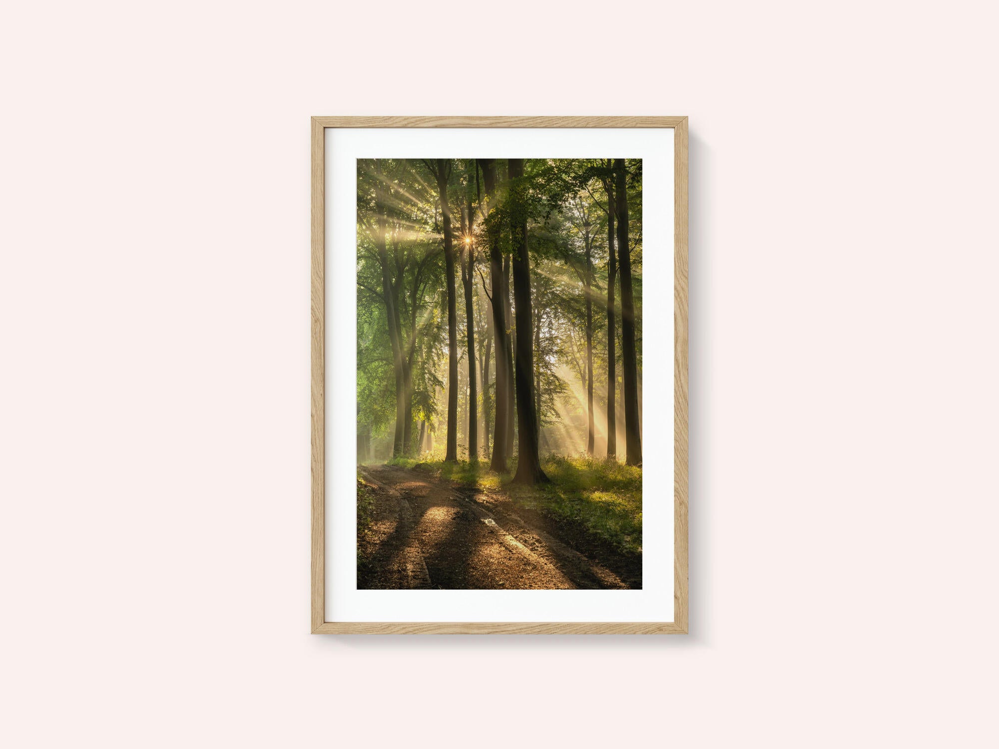 Golden Forest Path