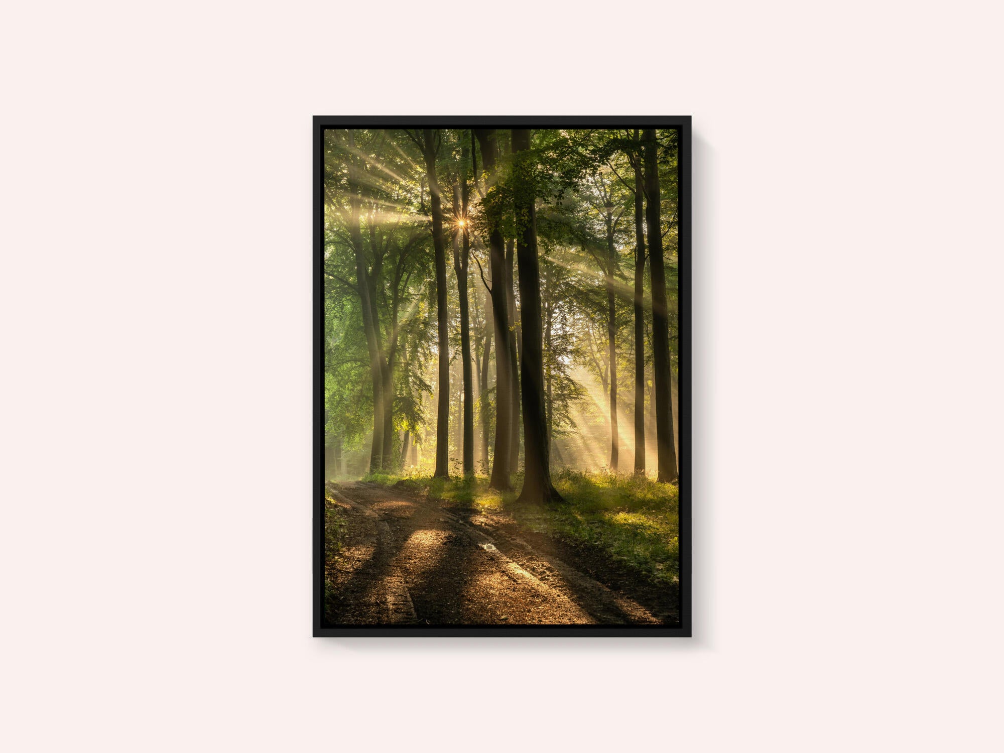Golden Forest Path