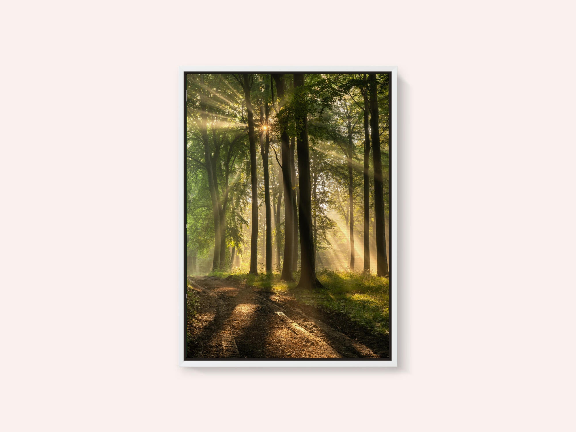 Golden Forest Path