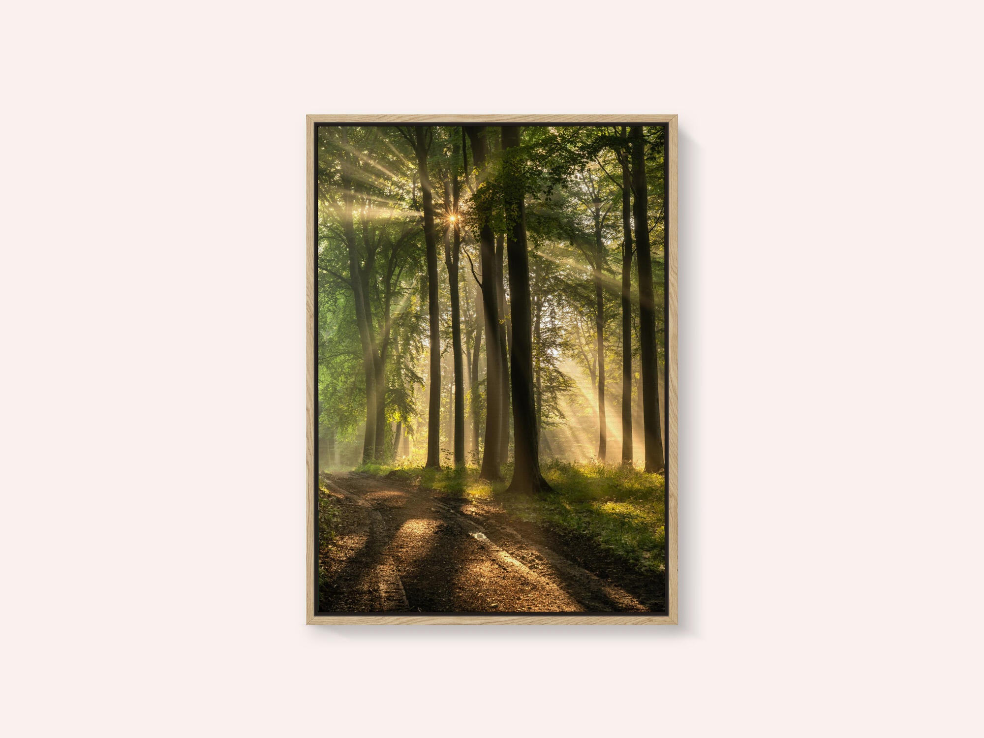 Golden Forest Path