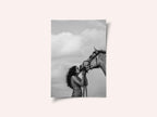 Tender Horse Connection