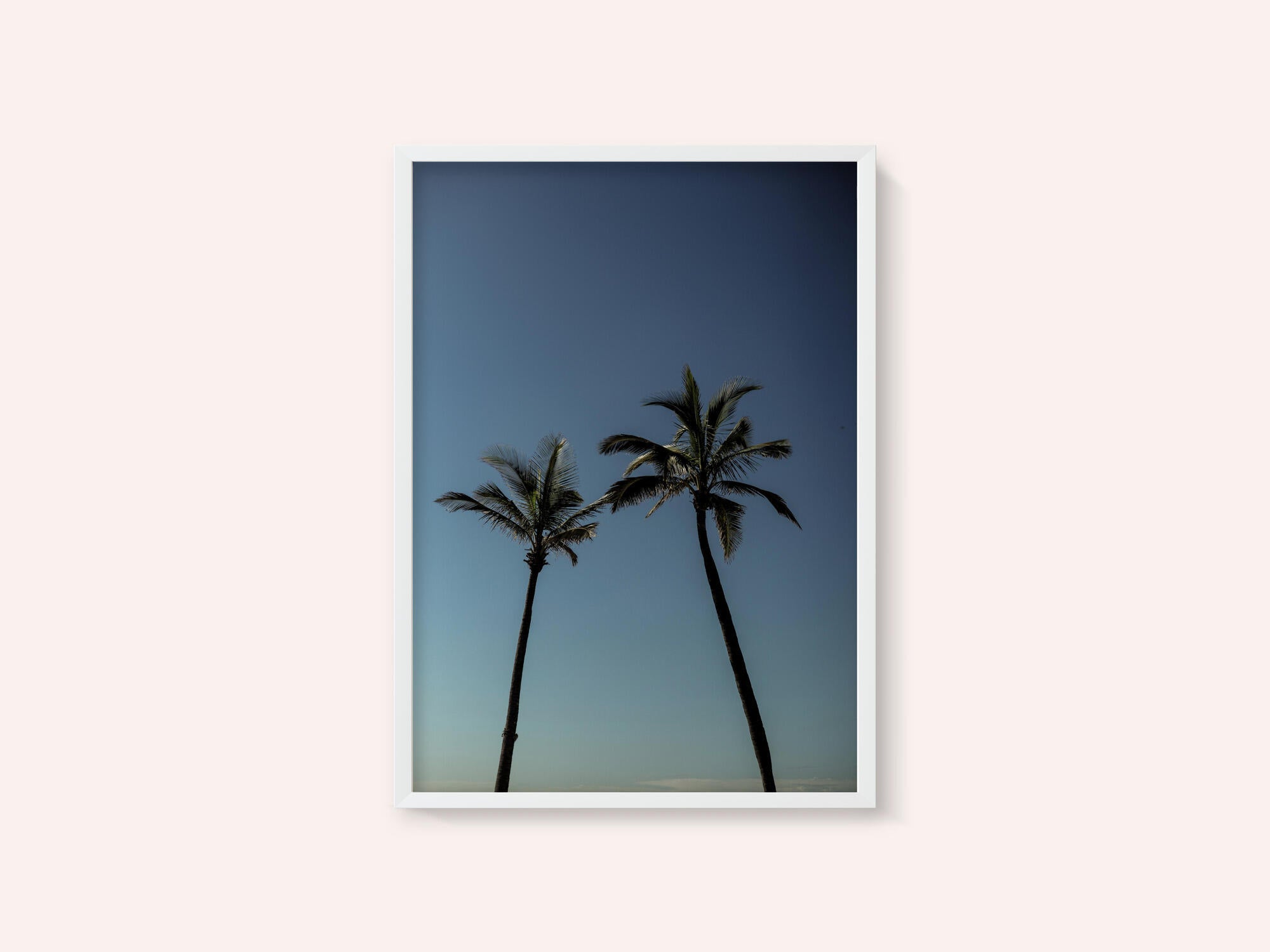 Tropical Palm Silhouettes