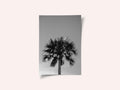 Striking Palm Silhouette