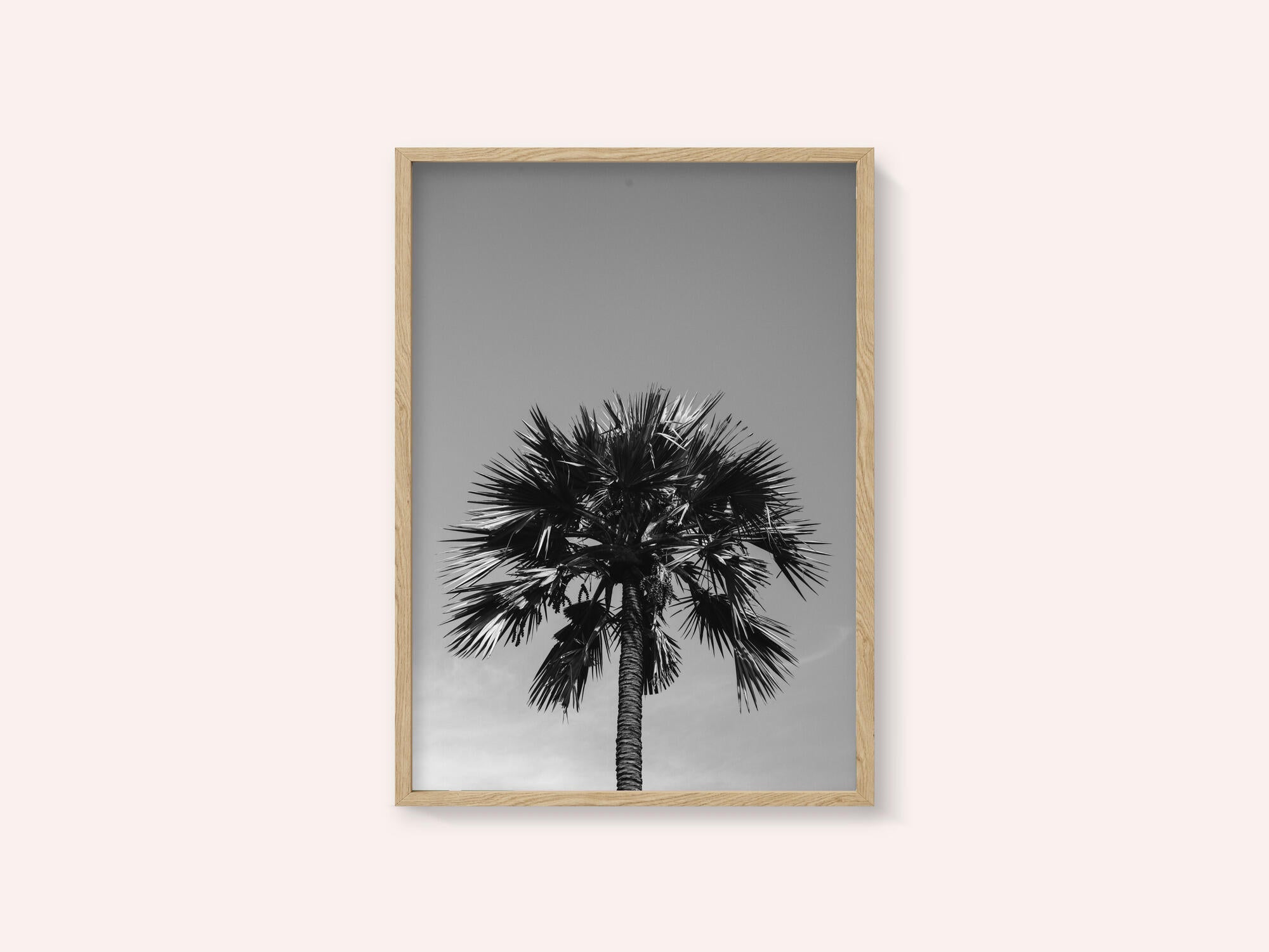 Striking Palm Silhouette
