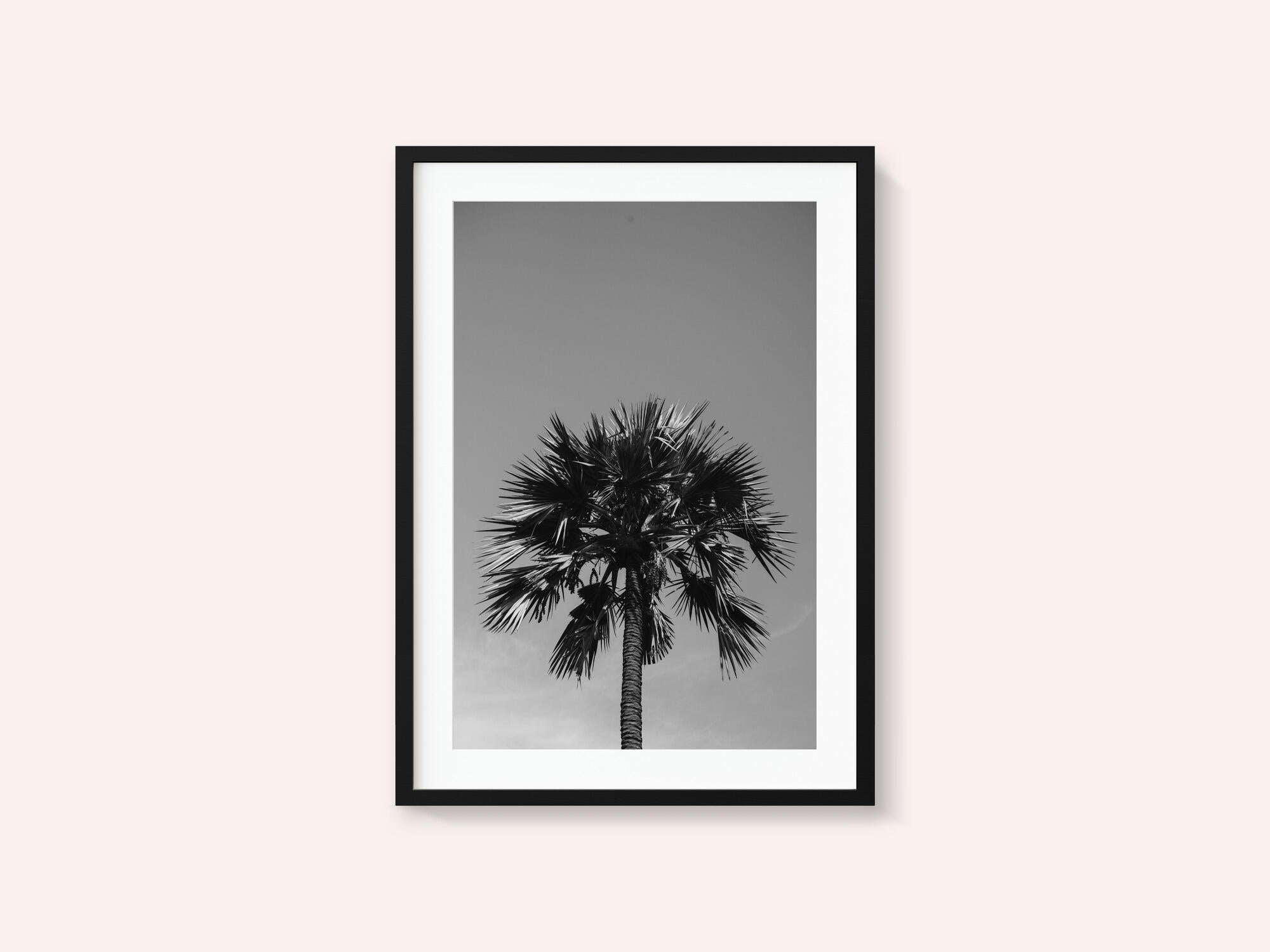 Striking Palm Silhouette