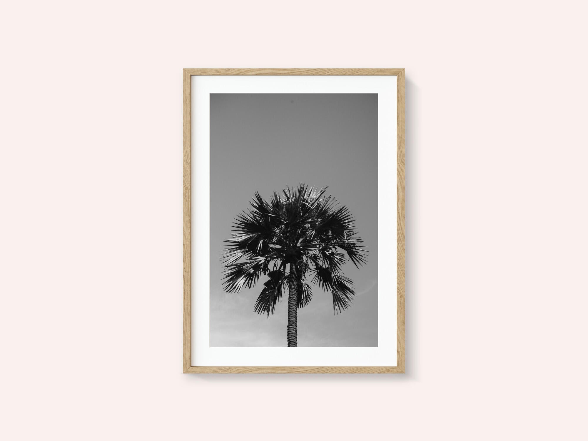 Striking Palm Silhouette
