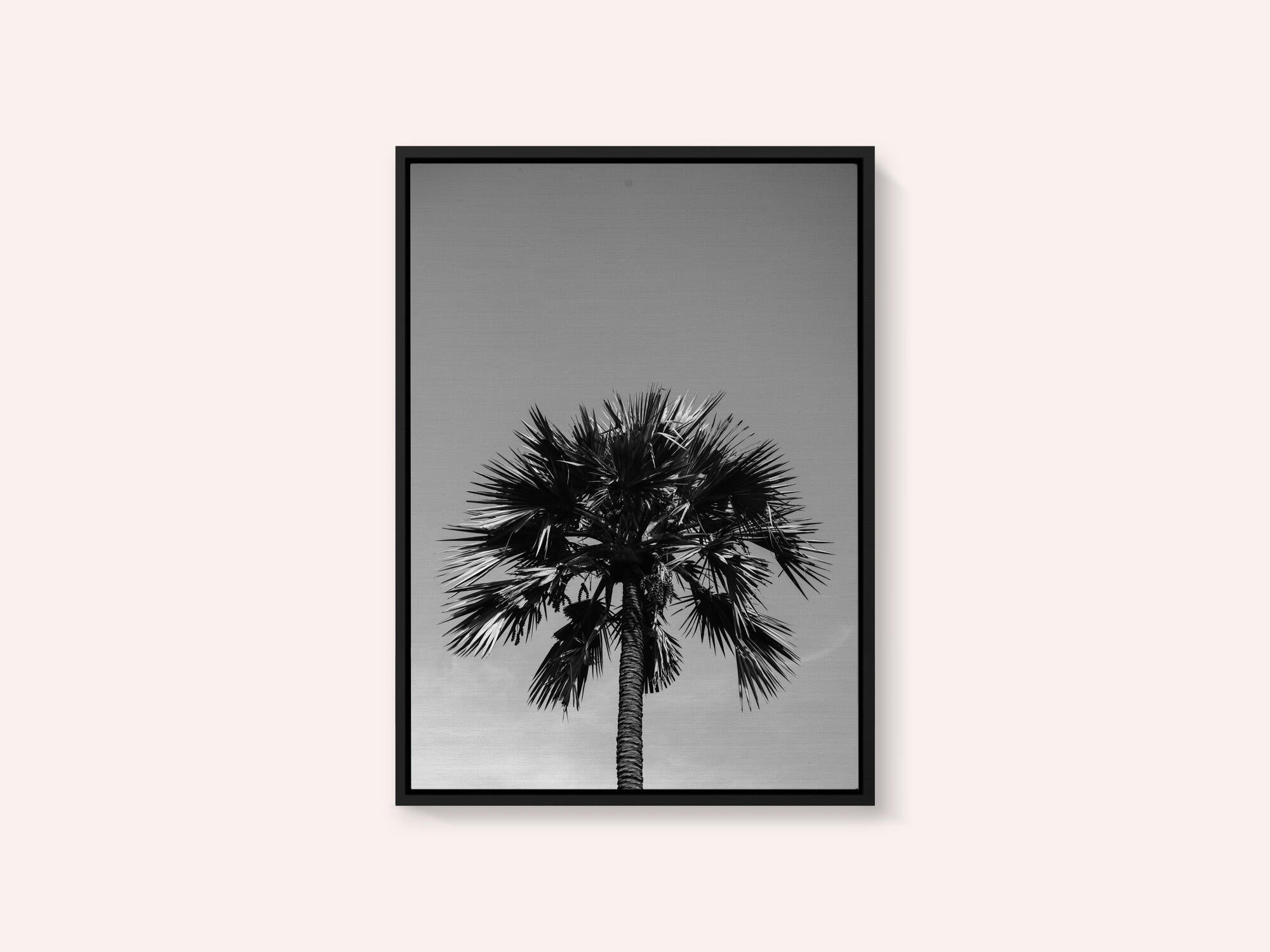 Striking Palm Silhouette