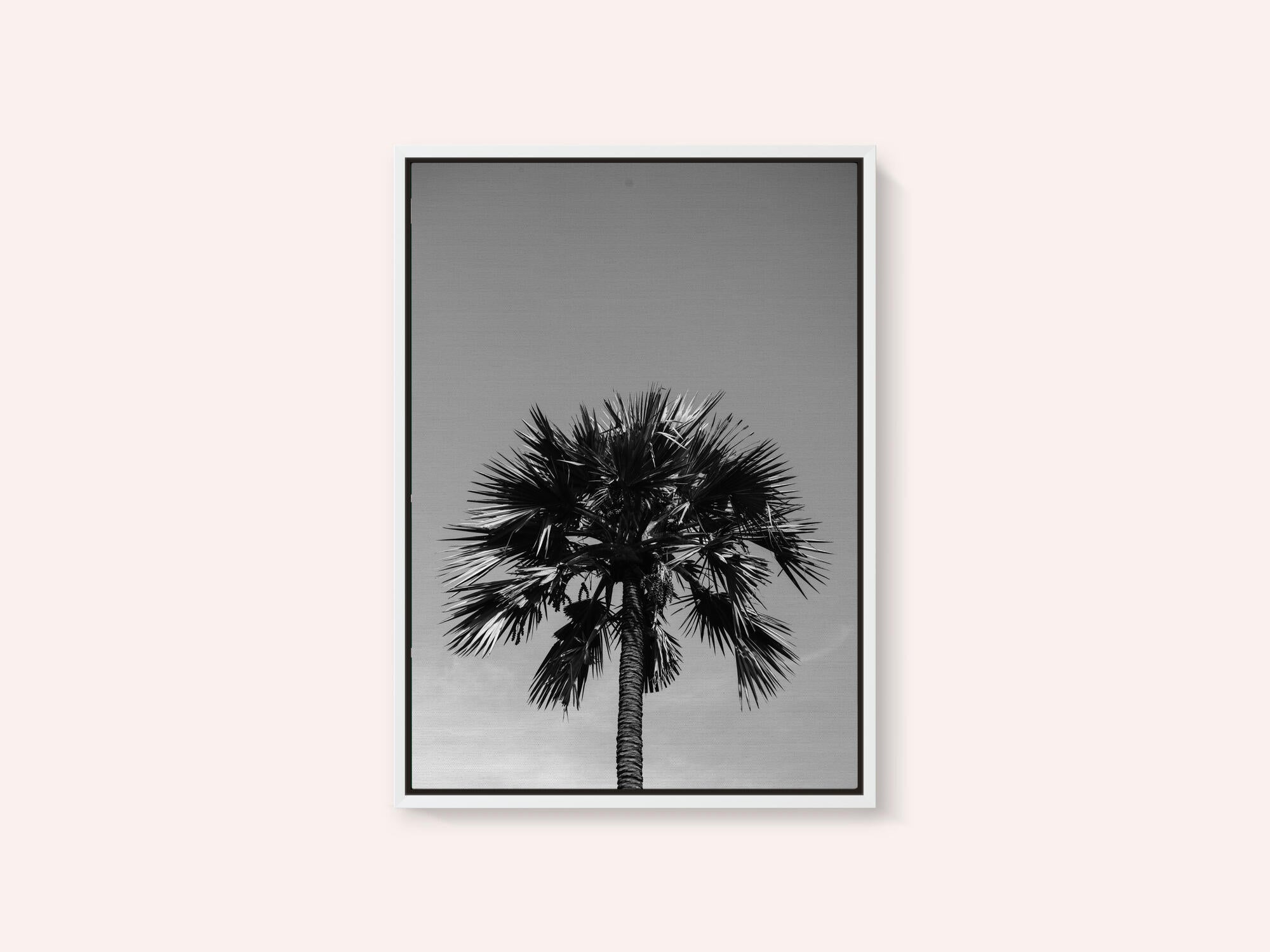 Striking Palm Silhouette